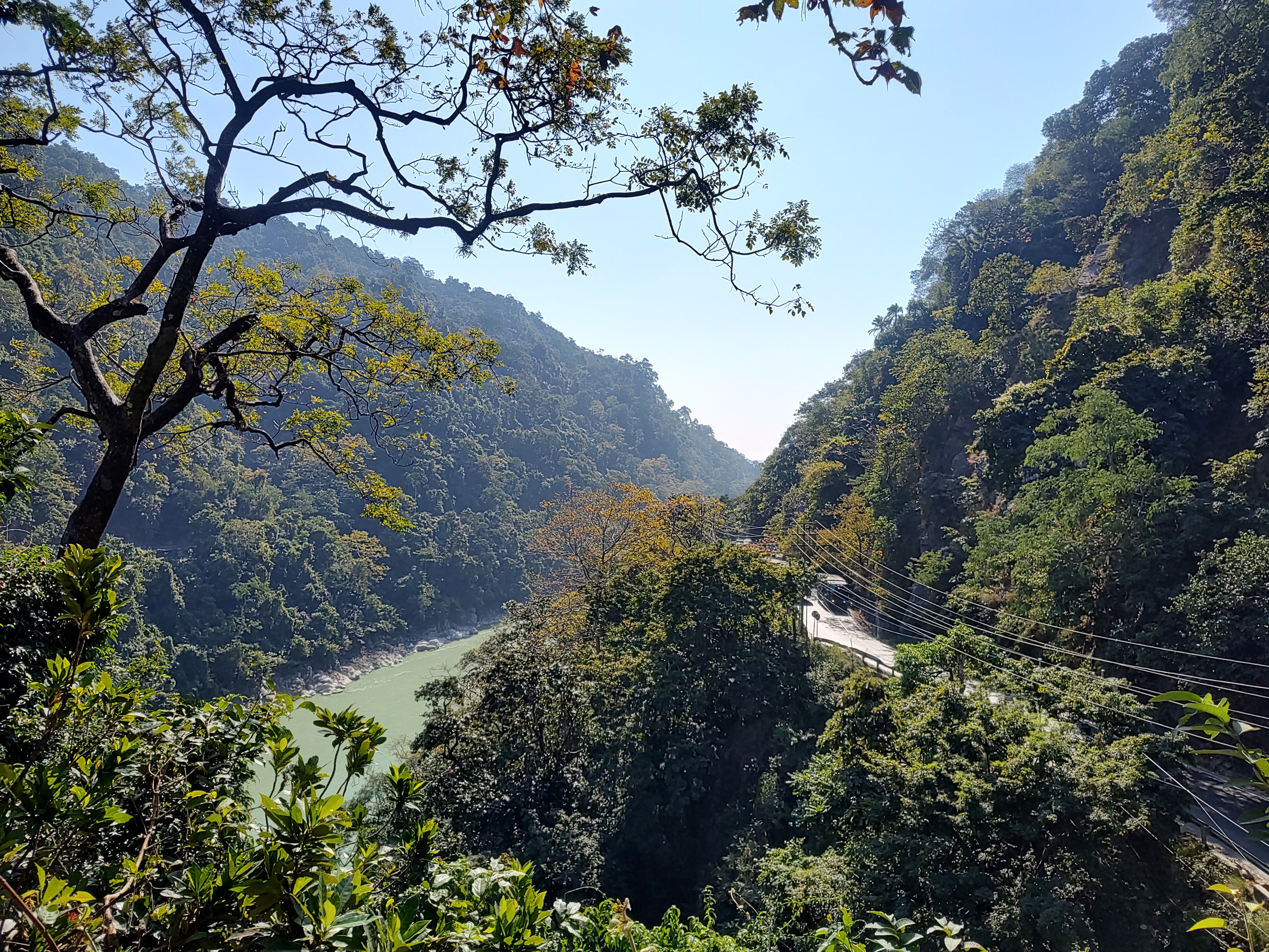 Dense forests stand along the banks of a river in India.