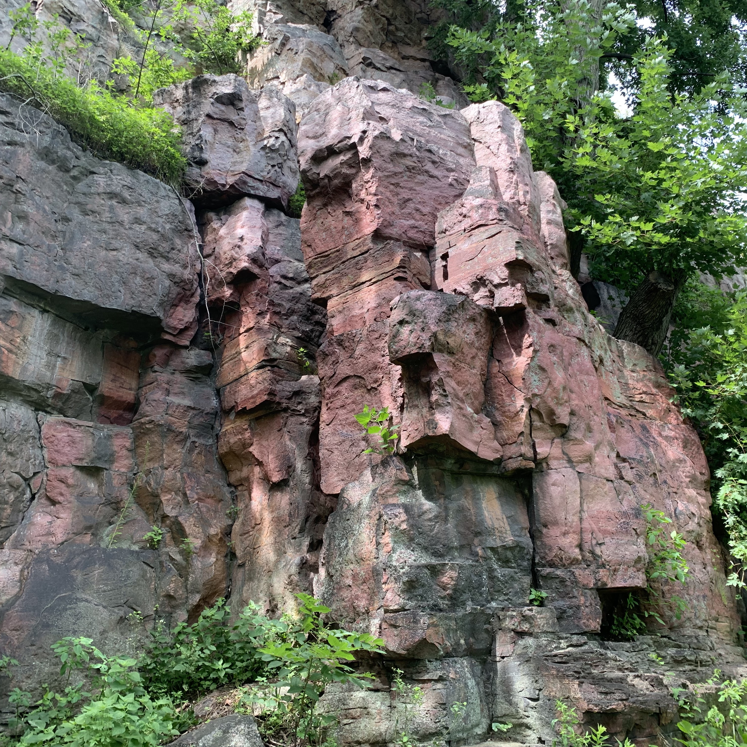Sioux quartzite lines the creek at Pembina Gorge State Park.