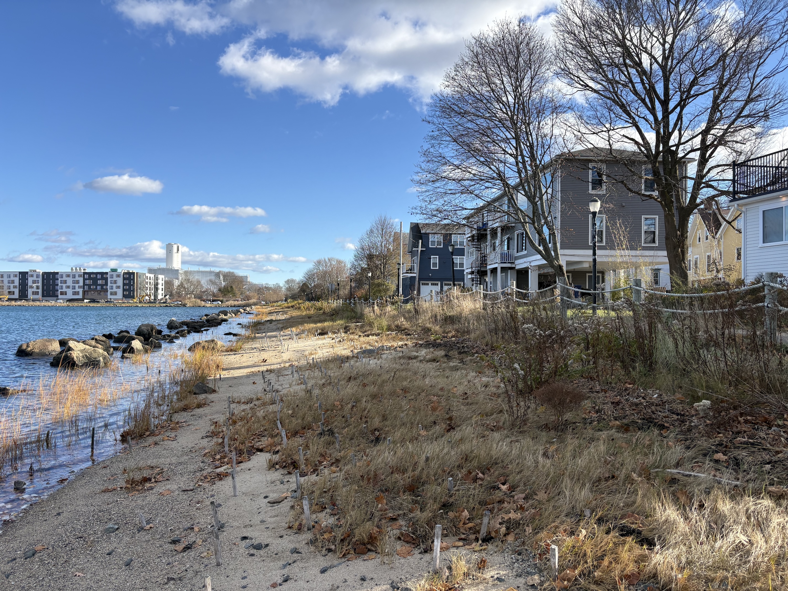A living shoreline of marsh grass separates the ocean from a path and some buildings along Collins Cove in Salem. 