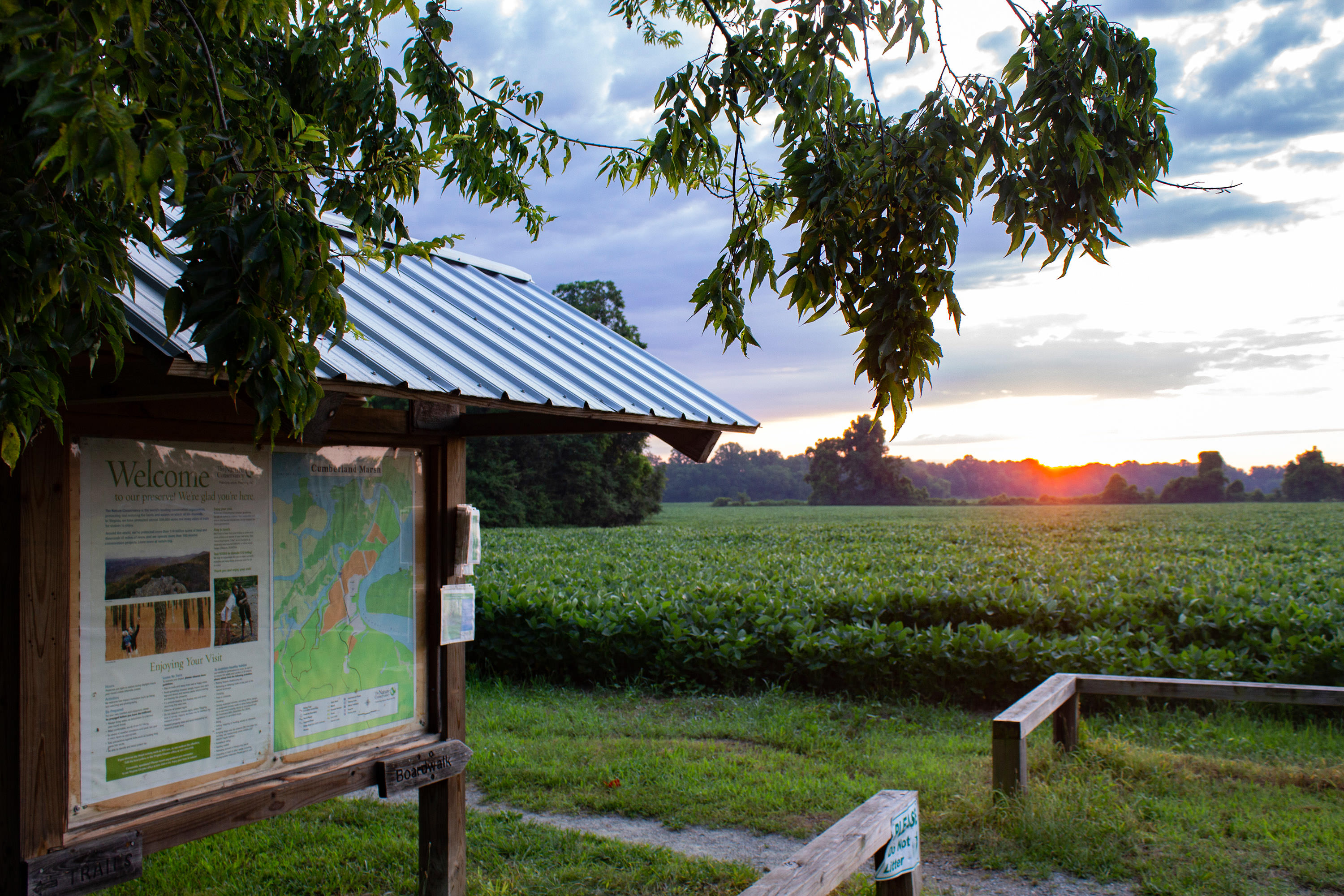 The rising sun peeks over the horizon at the edge of a farm field. A sign kiosk in the foreground welcomes visitors to Cumberland Marsh.