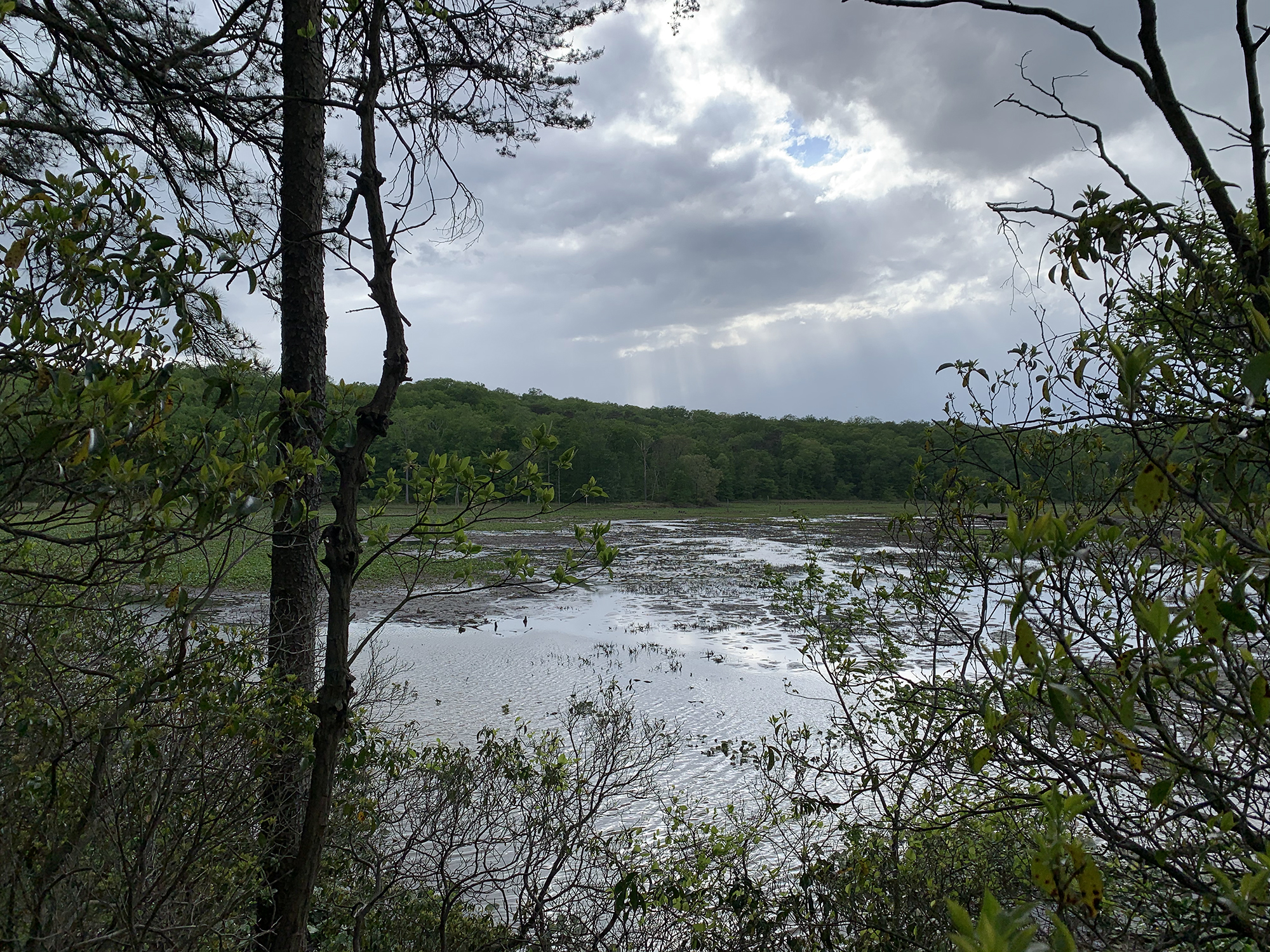 Oxbow Lake