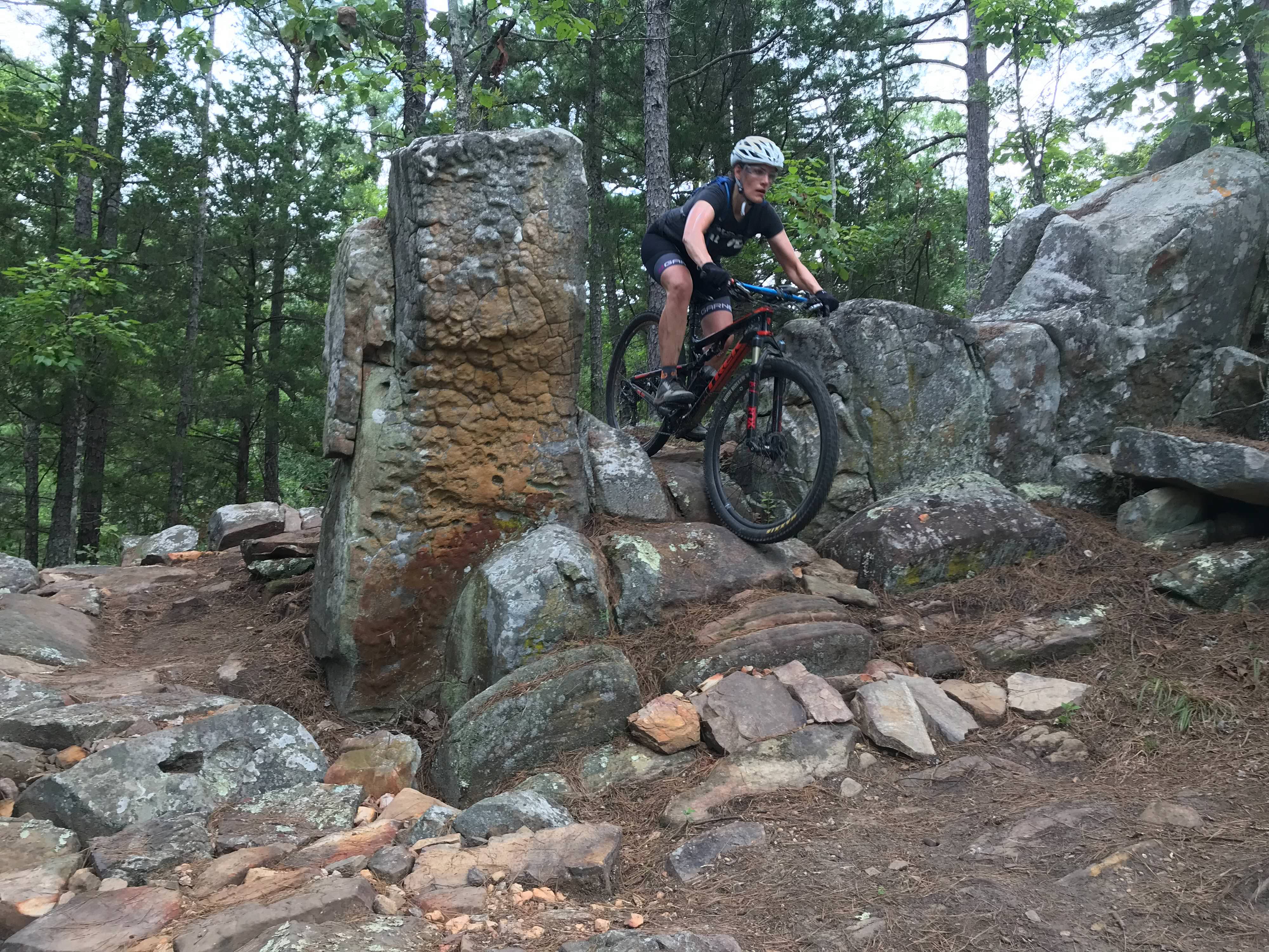 A person rides a bike over a rocky mound in a forest.
