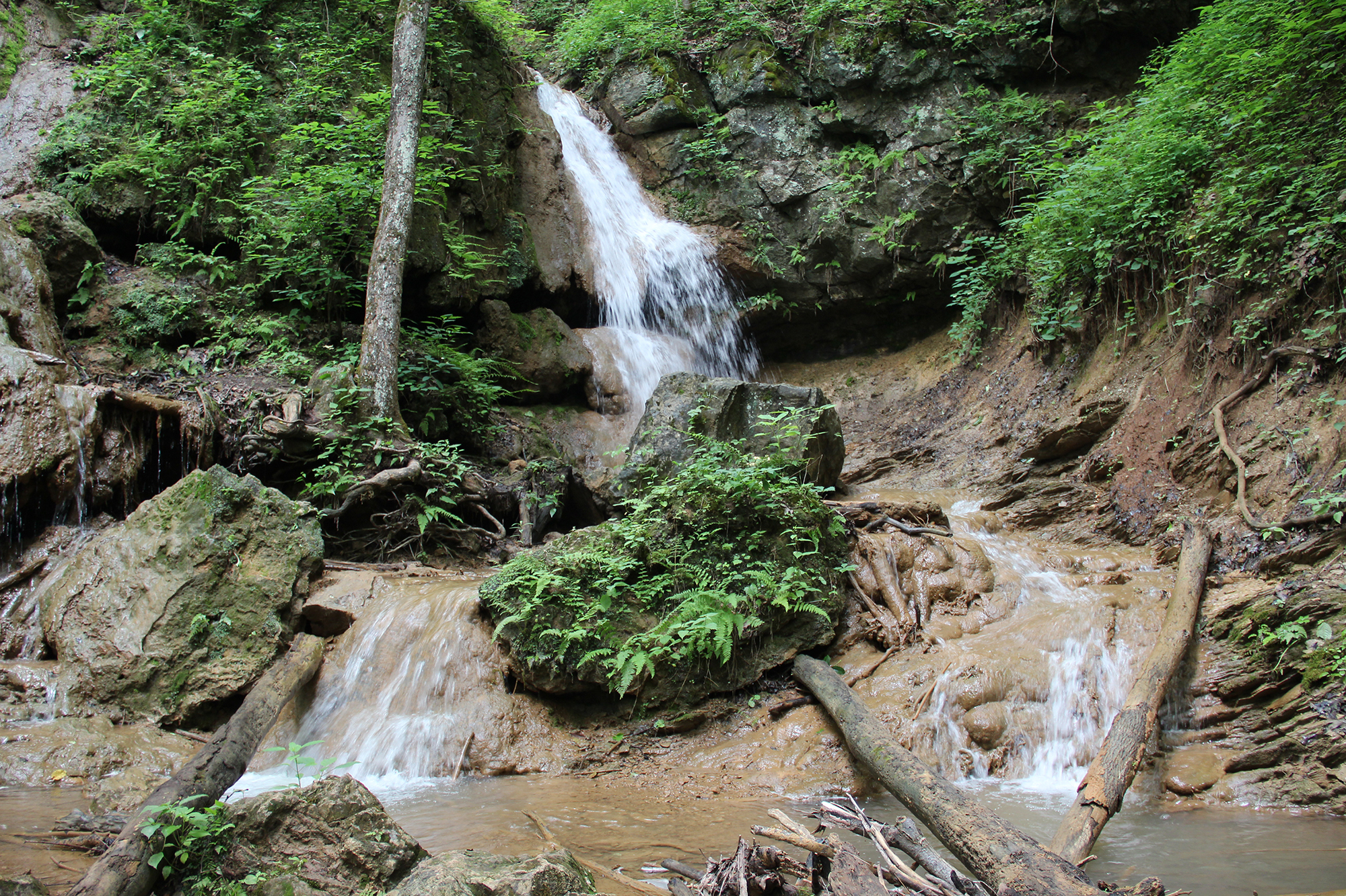 Water cascades over a rock lined stream bed. 
