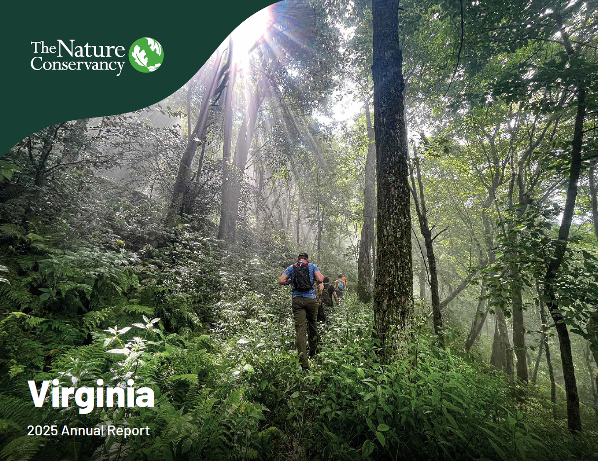 Thumbnail of the 2025 Report. 