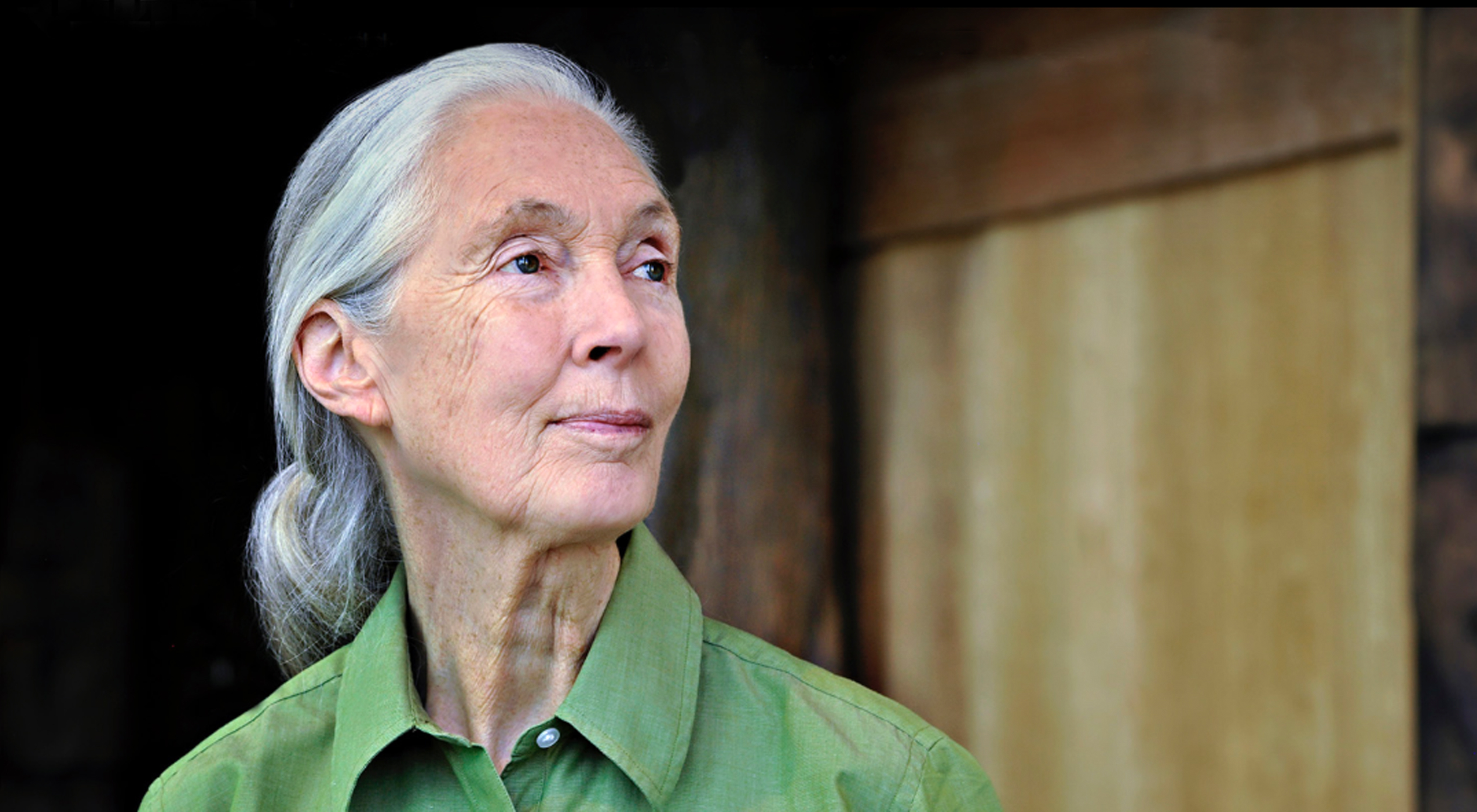 Dr. Jane Goodall, DBE