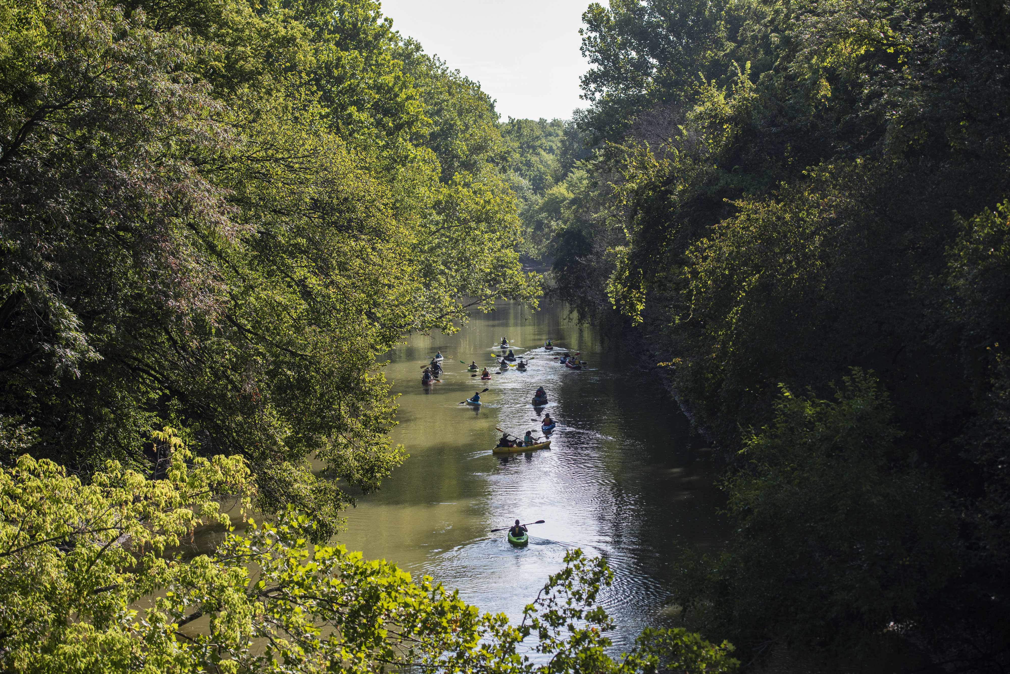 People in kayaks on a tree-lined river.