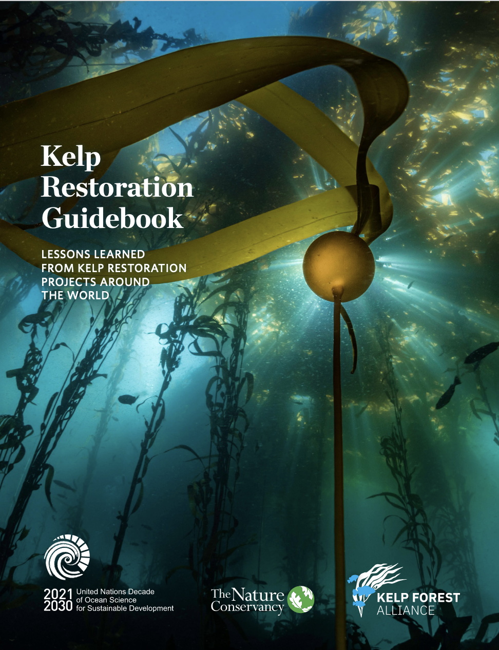 Kelp Restoration Guidebook | TNC & United Nations