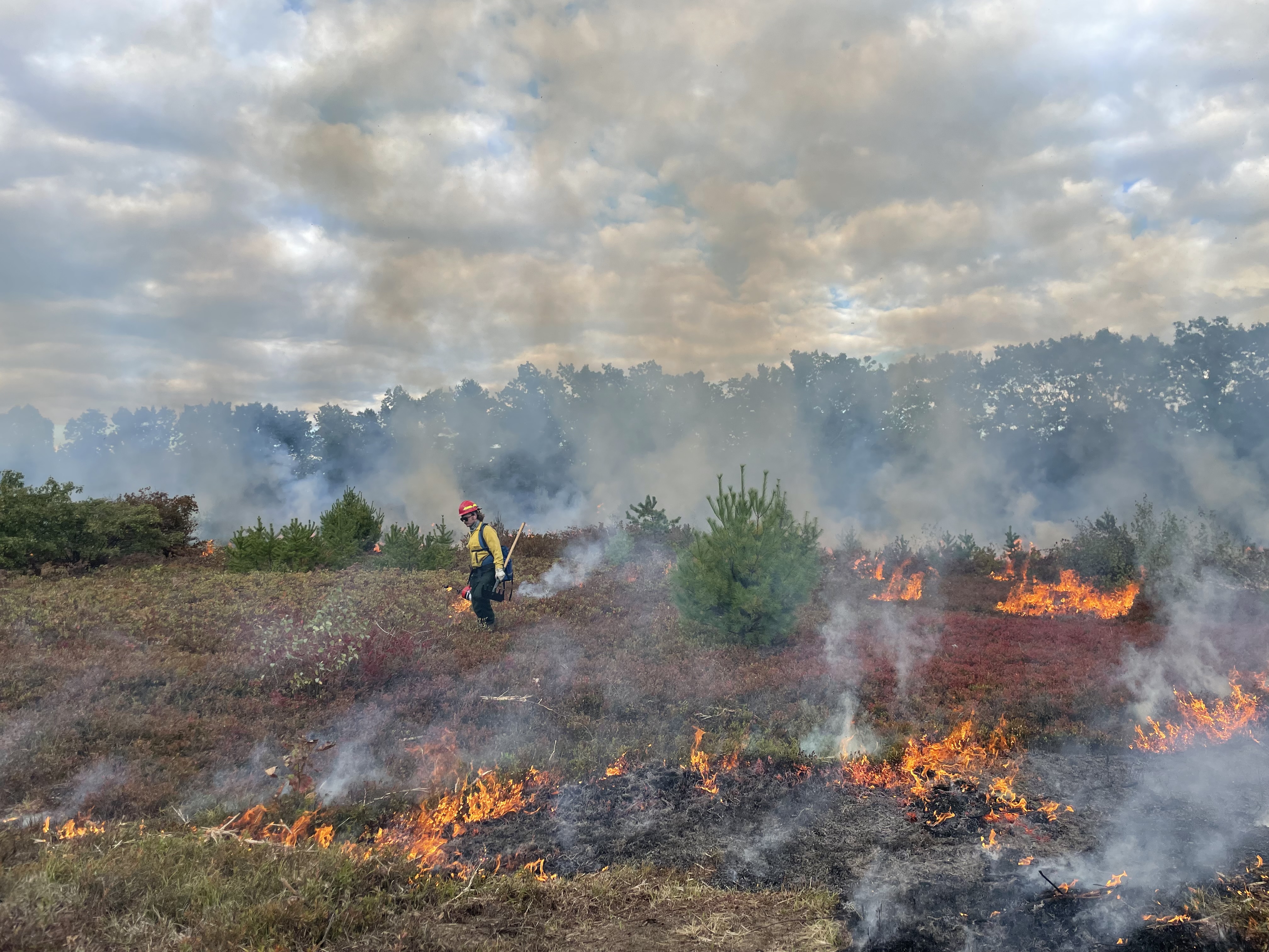 A person in yellow fire gear stands in a charred field with small flames.