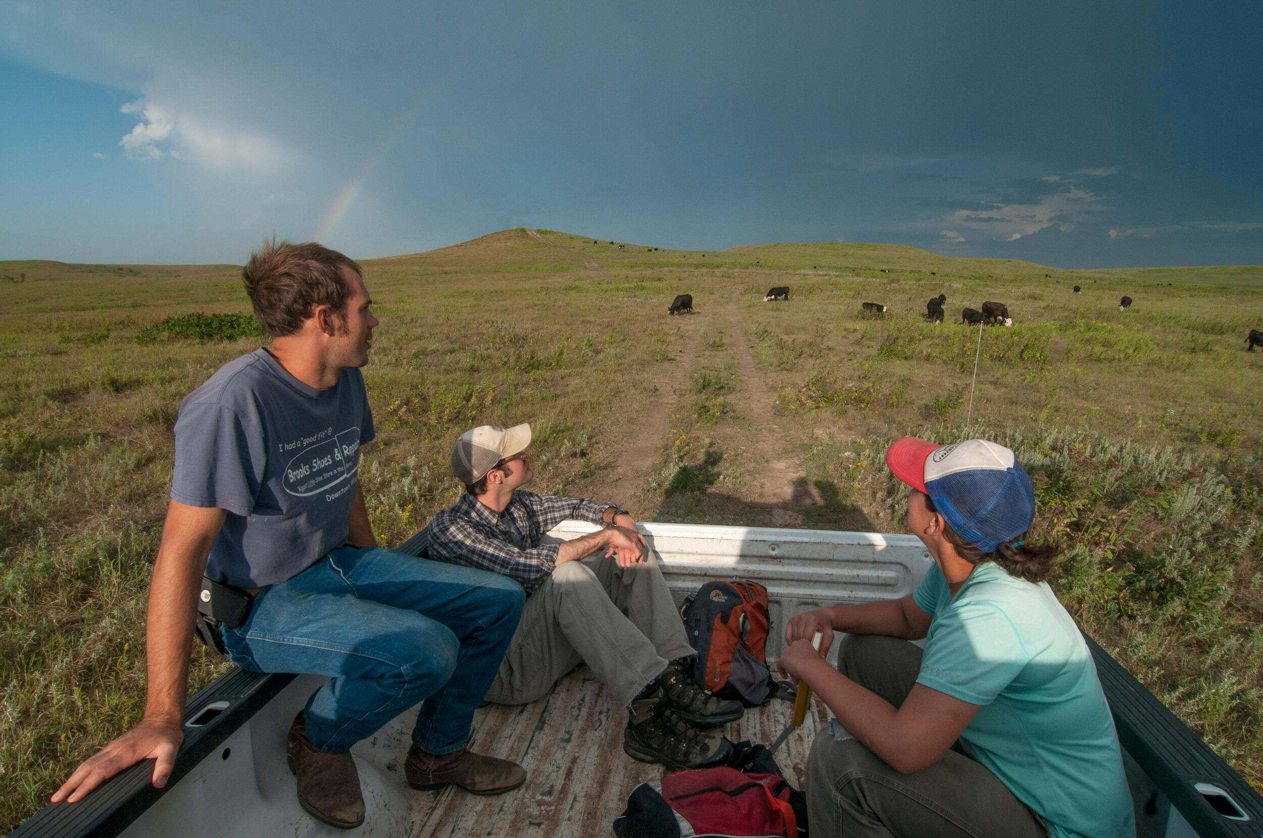Researchers in the back of a flatbed truck looking out over a grassland with grazing cattle.
