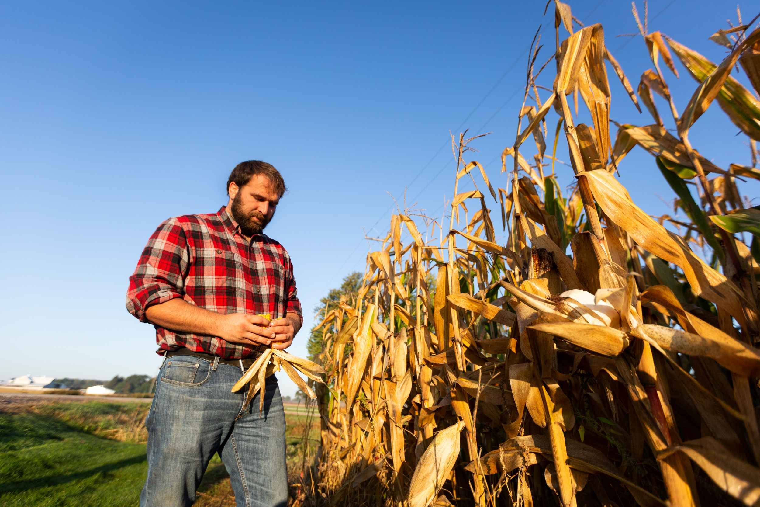 A farmer in a field of corn.