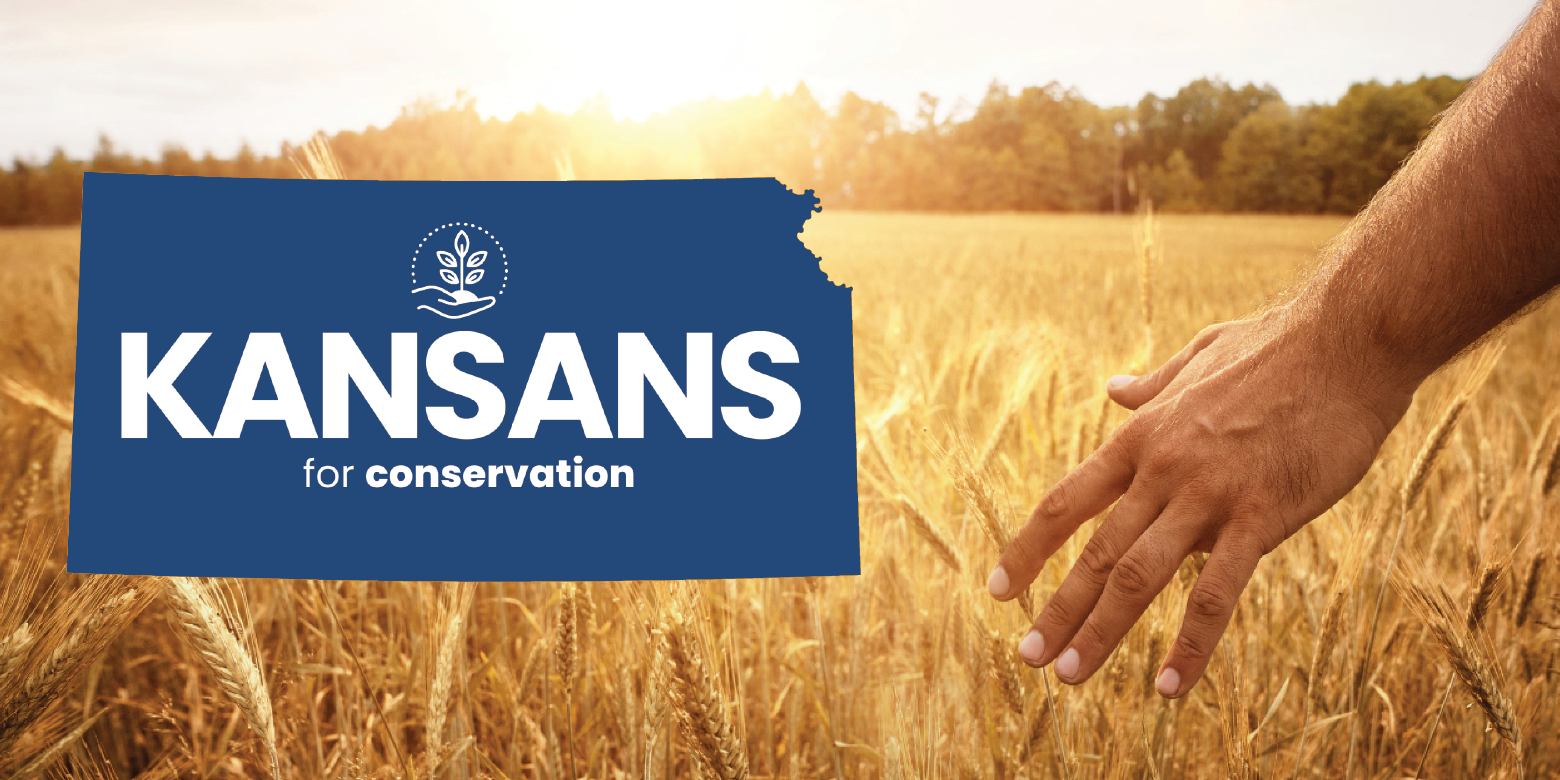 A graphic in the shape of Kansas overlaid with text reading, Kansans for conservation is superimposed over a photo of a field of wheat.