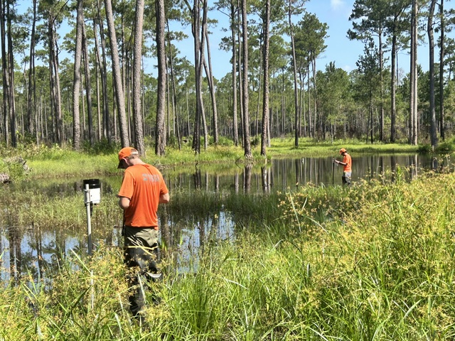Two men in bright orange t-shirts stand with their backs to the camera, looking downward at a pond surrounded by tall grass.