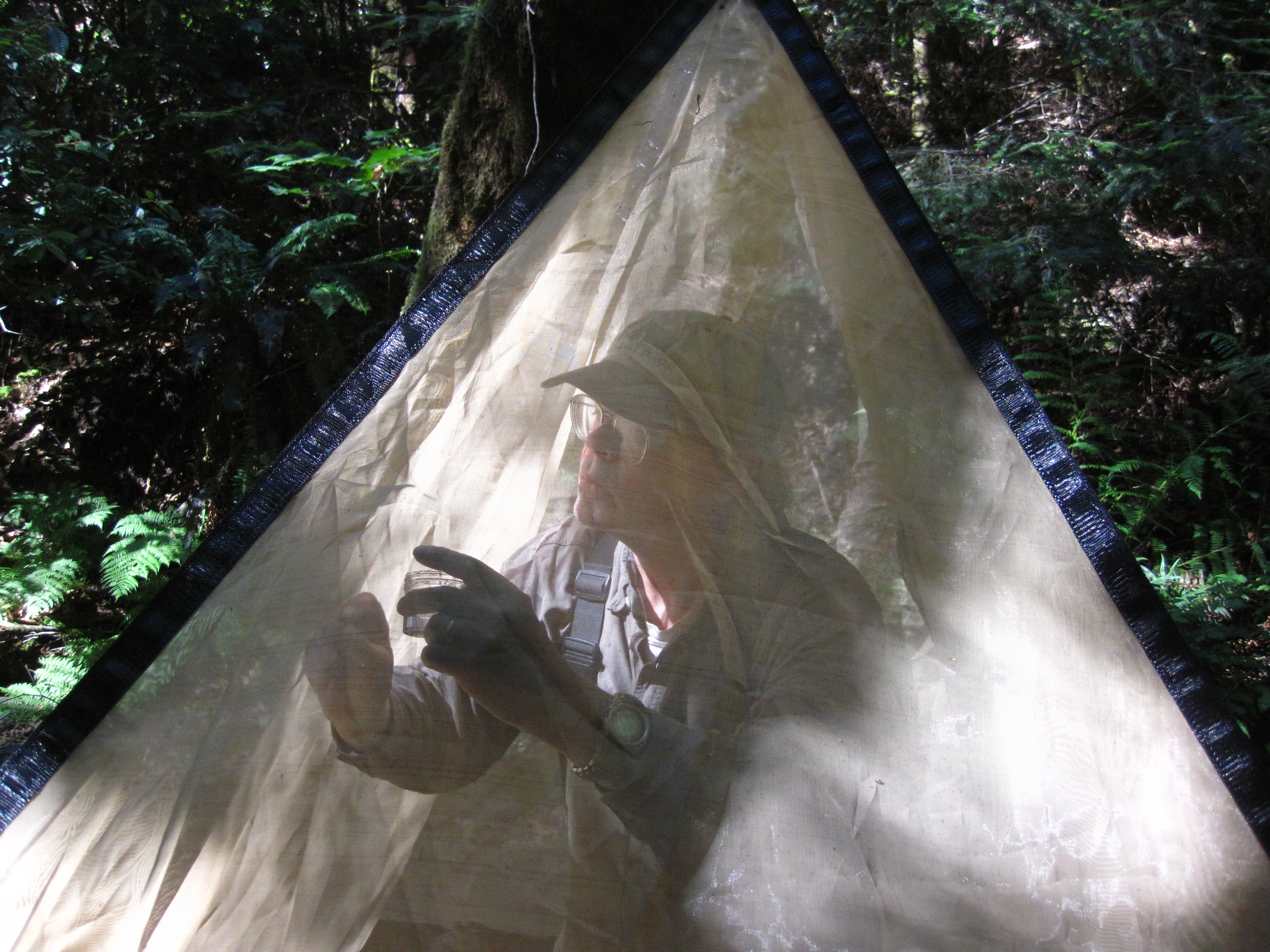 Larry Serpa behind an insect tent.