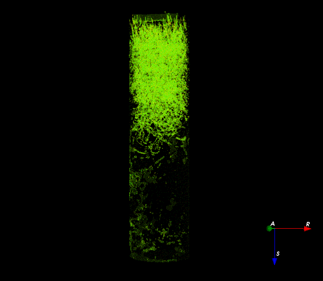 A graphic showing a rotating marsh core in bright green on a black background. Grass roots and rhizomes show up in the top half as dense green fibers.