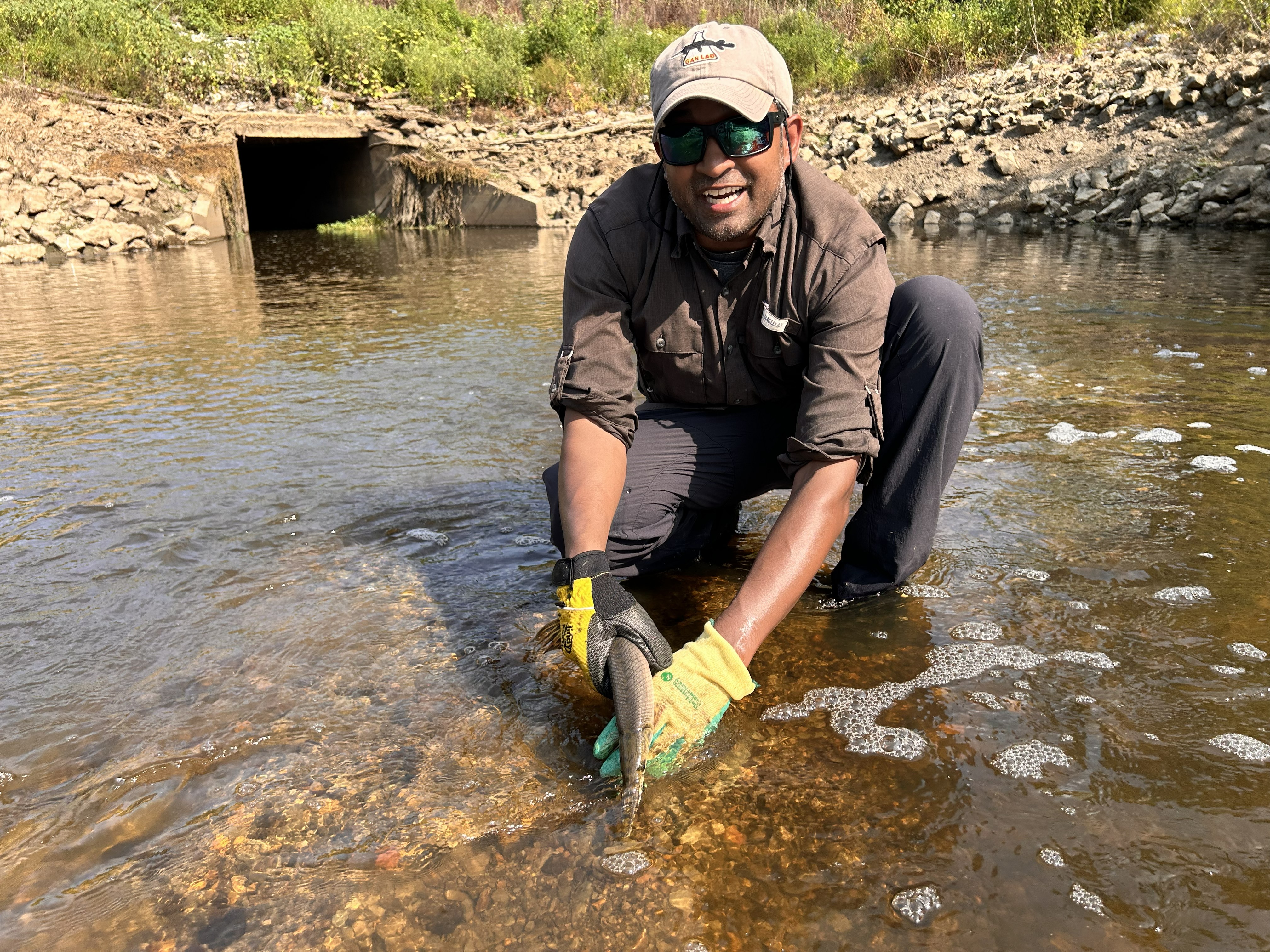 A man wearing a hat and sunglasses, kneels in shallow water holding a fish.