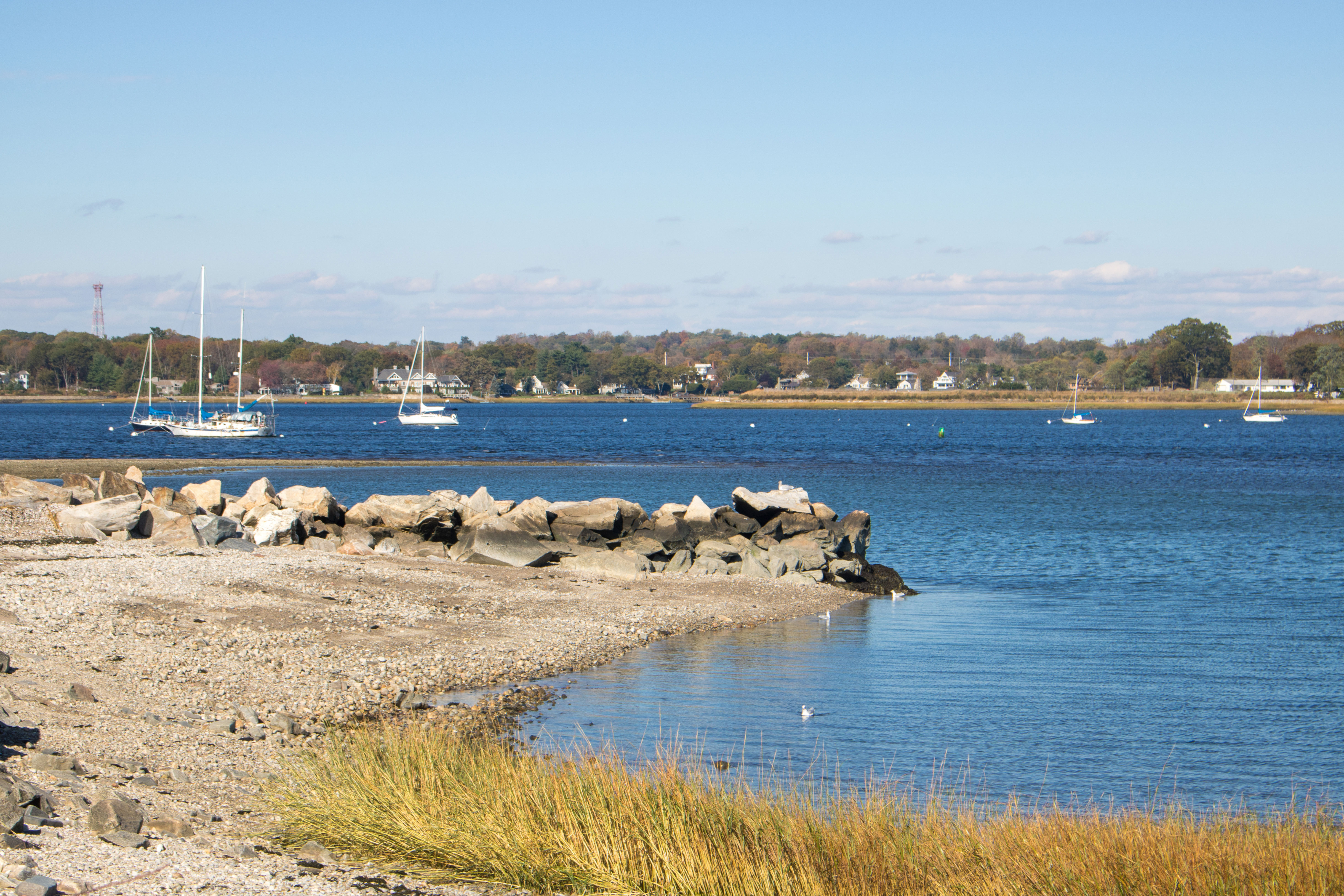 Shoreline along Long Island Sound in Connecticut.