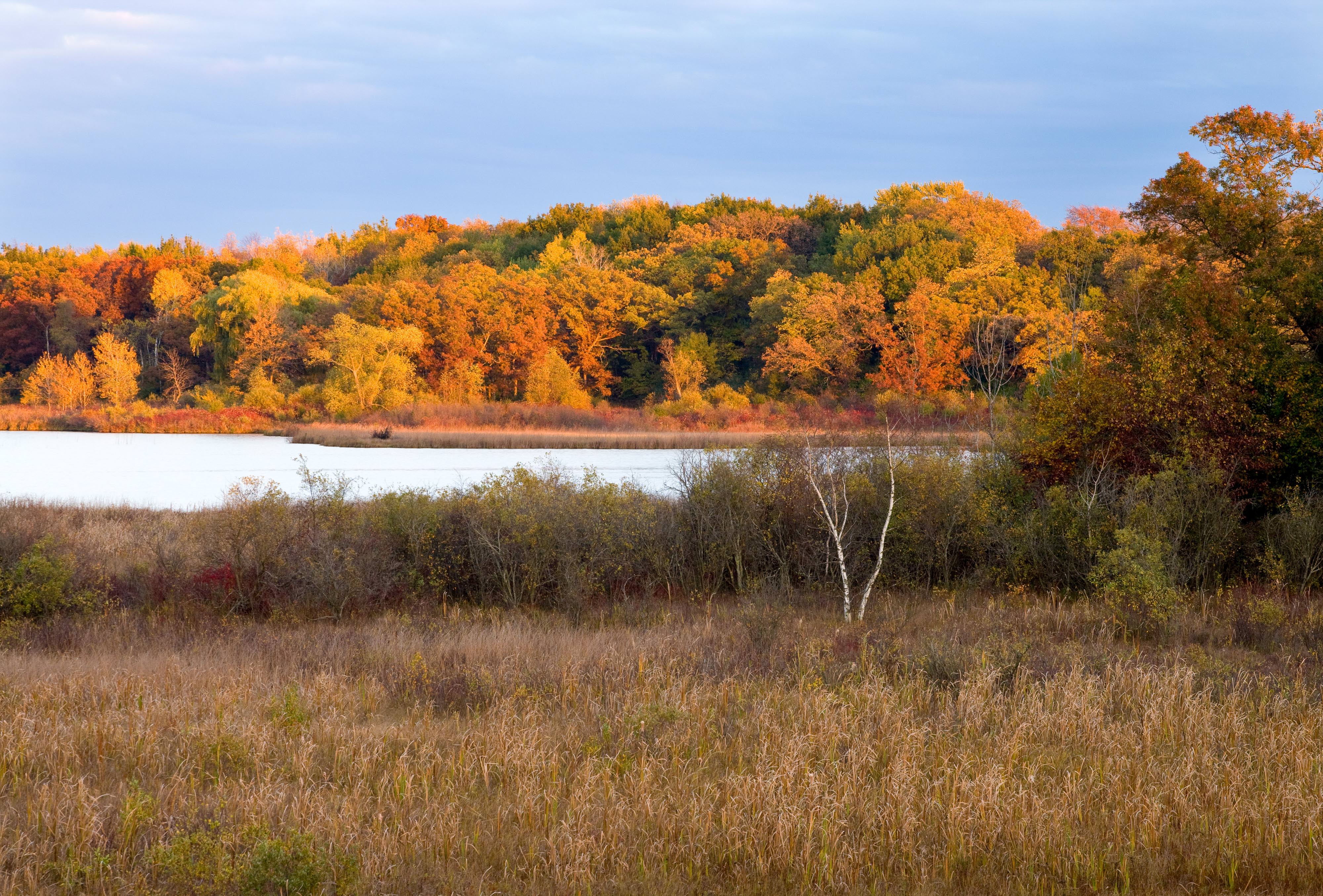 Lake with forest in fall colors.