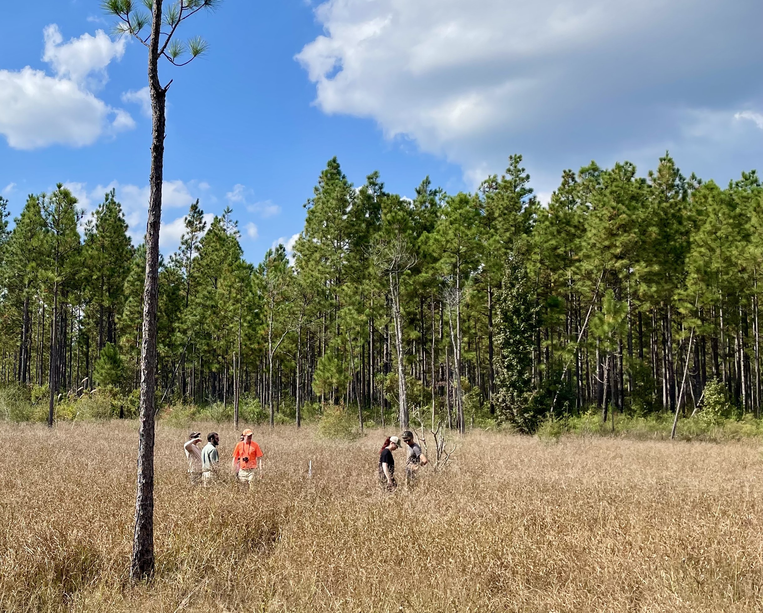 A group of people explore a large grassland.