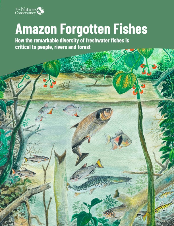 How the Remarkable Diversity of Freshwater Fishes is Critical to People, Rivers, and Forest