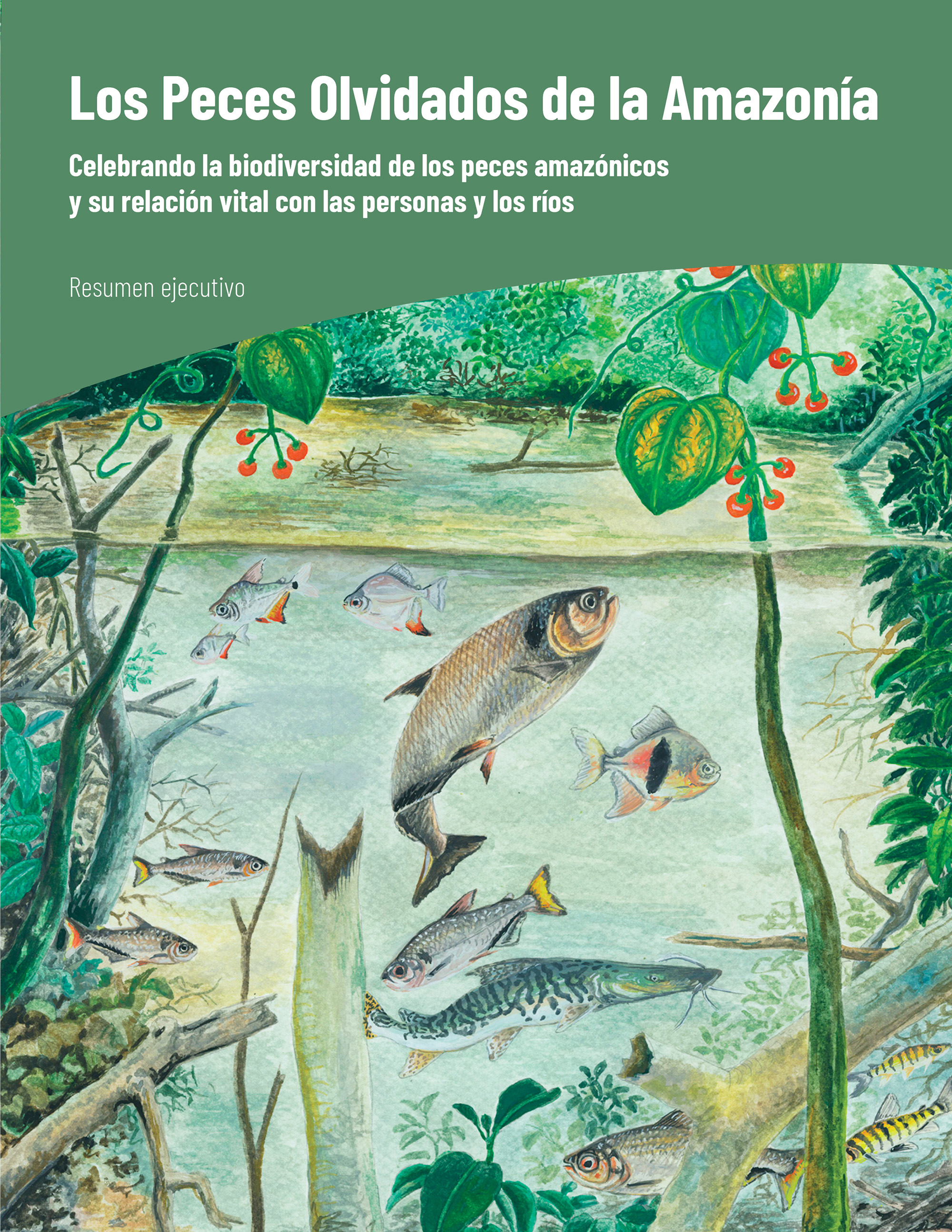 Portada del informe