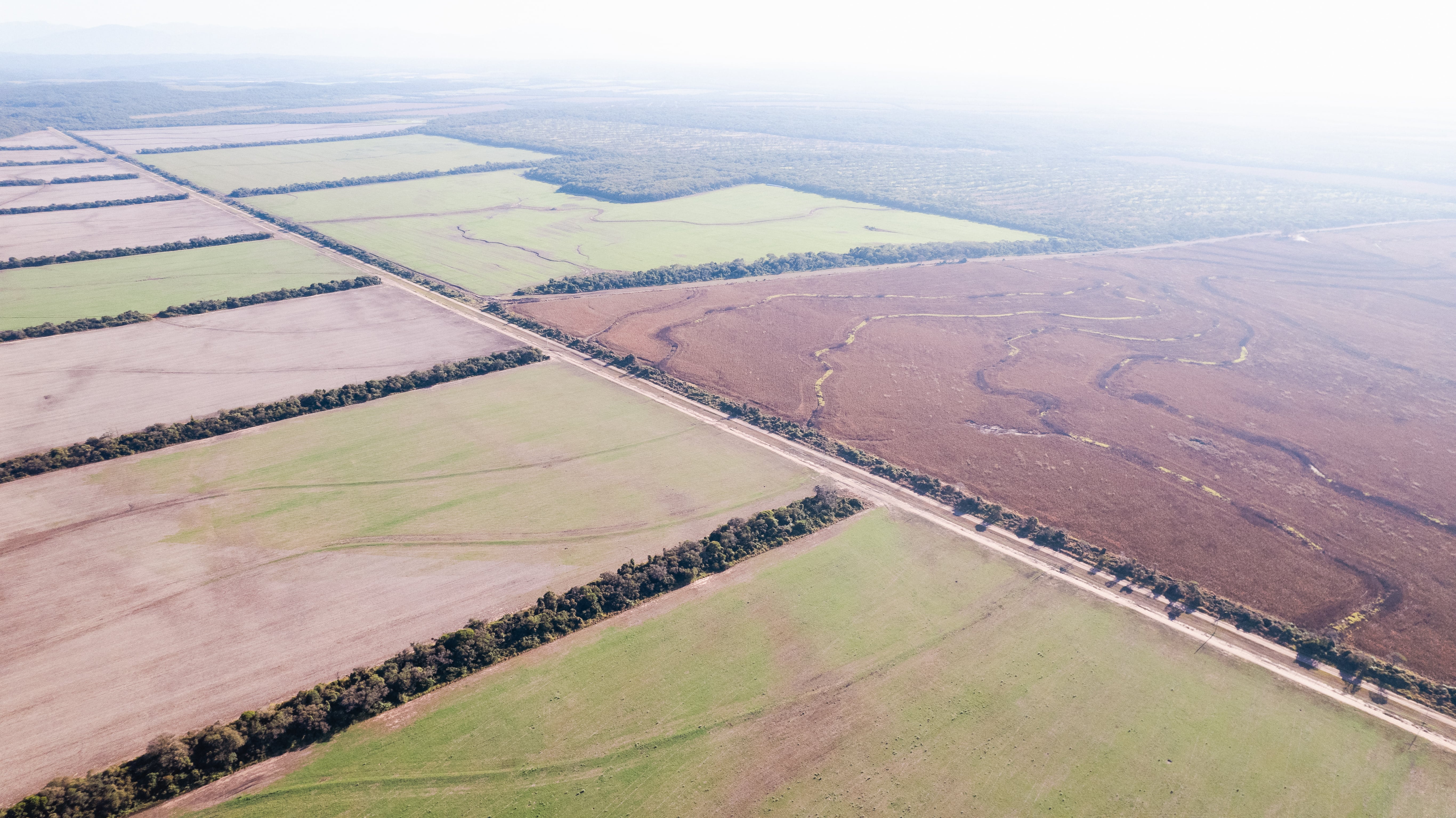 Aerial view of productive fields in Gran Chaco.