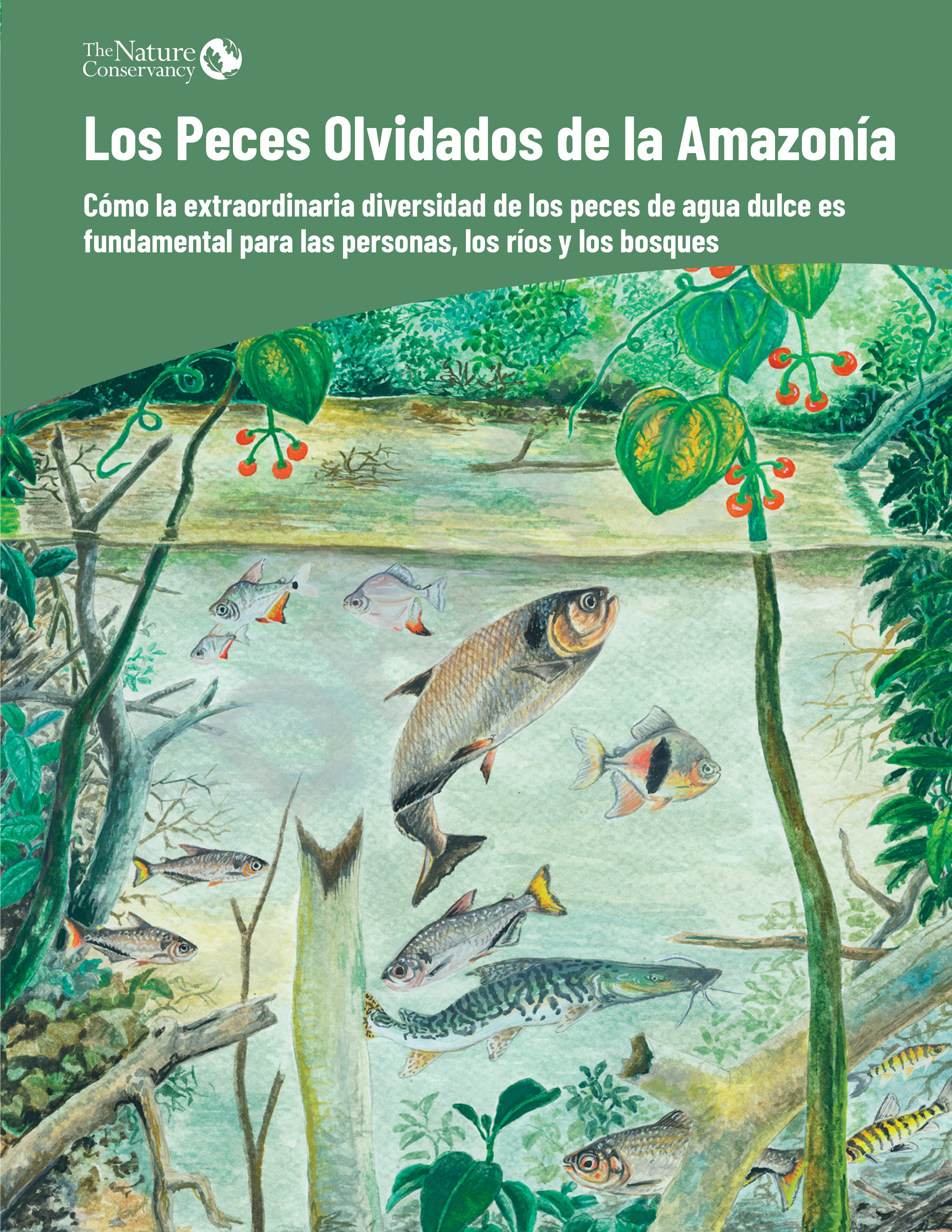 Portada con una ilustración de fauna y flora.
