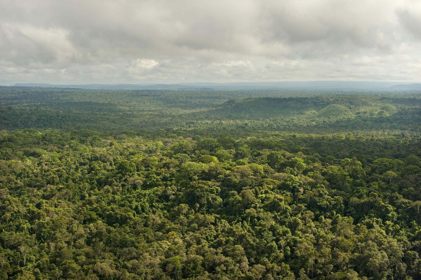 An aerial view of a forested landscape under a cloudy sky.
