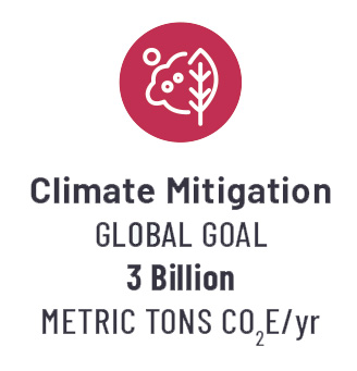 Icon showing a figure half tree, half cloud, over a red background. 