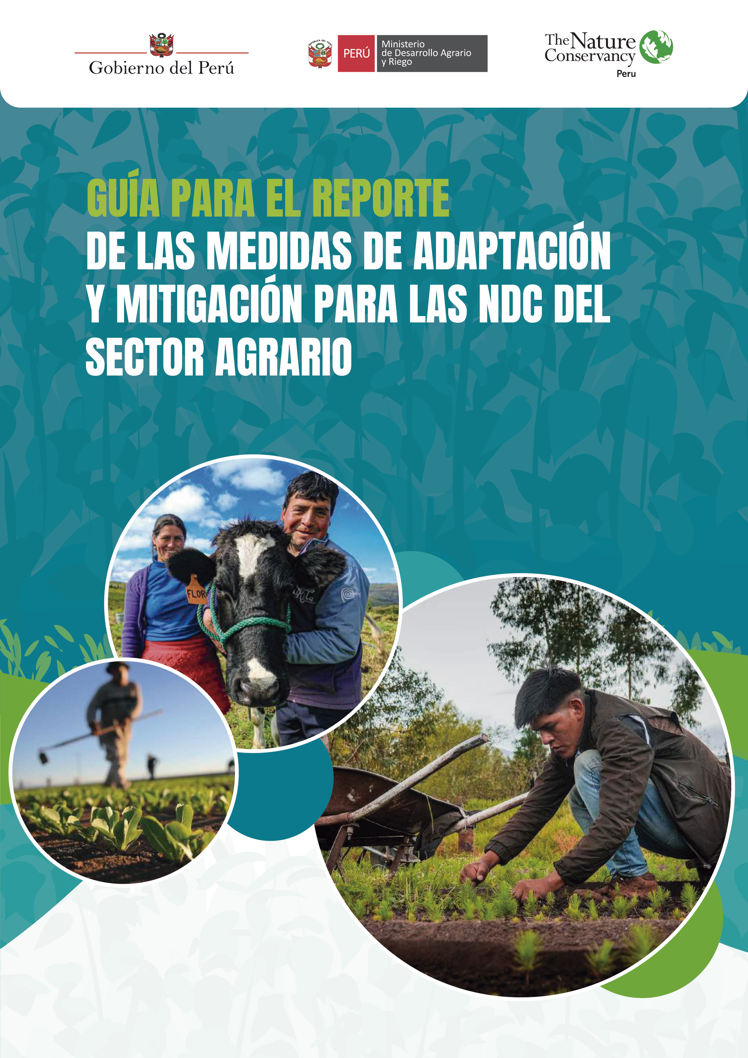 Portada de la guía. 