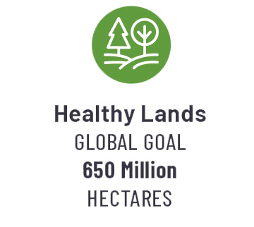 Icon featuring trees growing on a rolling landscape.