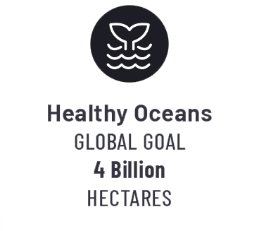 Icon featuring the fin of a whale popping up between waves in the water.