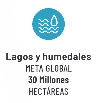 Ícono de protección de lagos y humedales, con una gota que destaca sobre unas ondas, en líneas blancas sobre fondo celeste. 