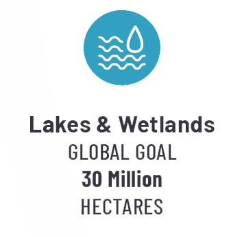 Icon featuring waves and a water drop.