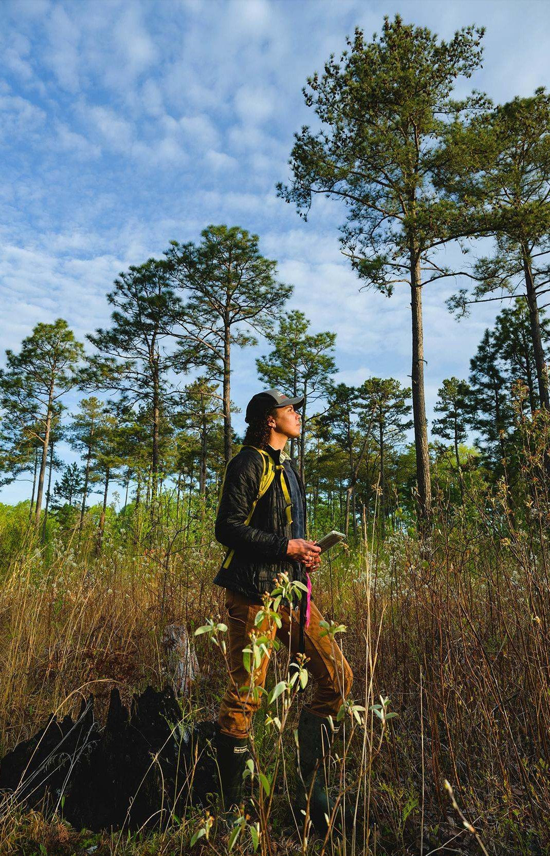 Lauren Goodman, especialista en divulgación científica de TNC, observa pinos de hoja larga en la Reserva Black Ankle Bog de Carolina del Norte.