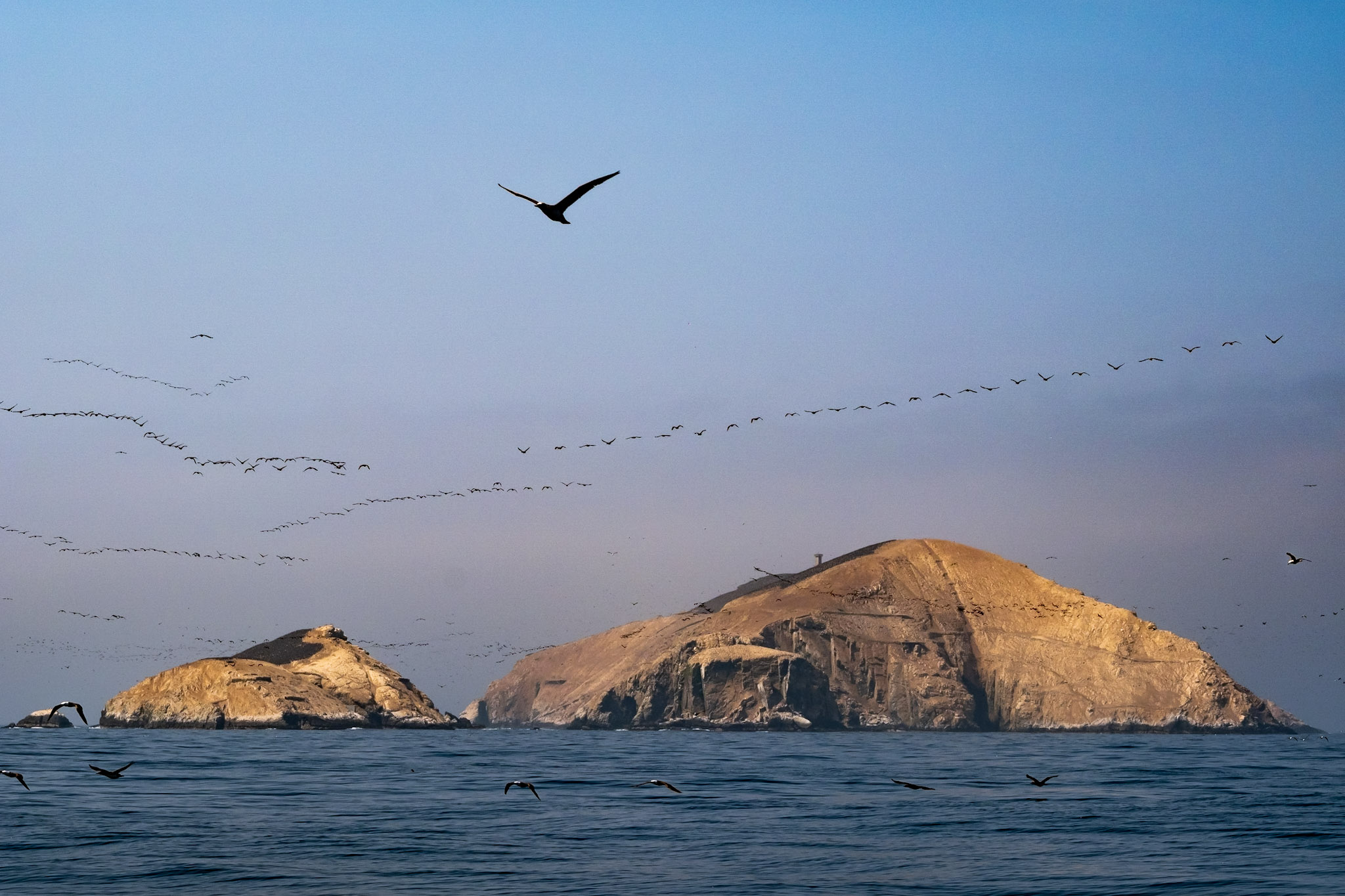 Humboldt Current runs across the coast of Chile, Perú and Ecuador.