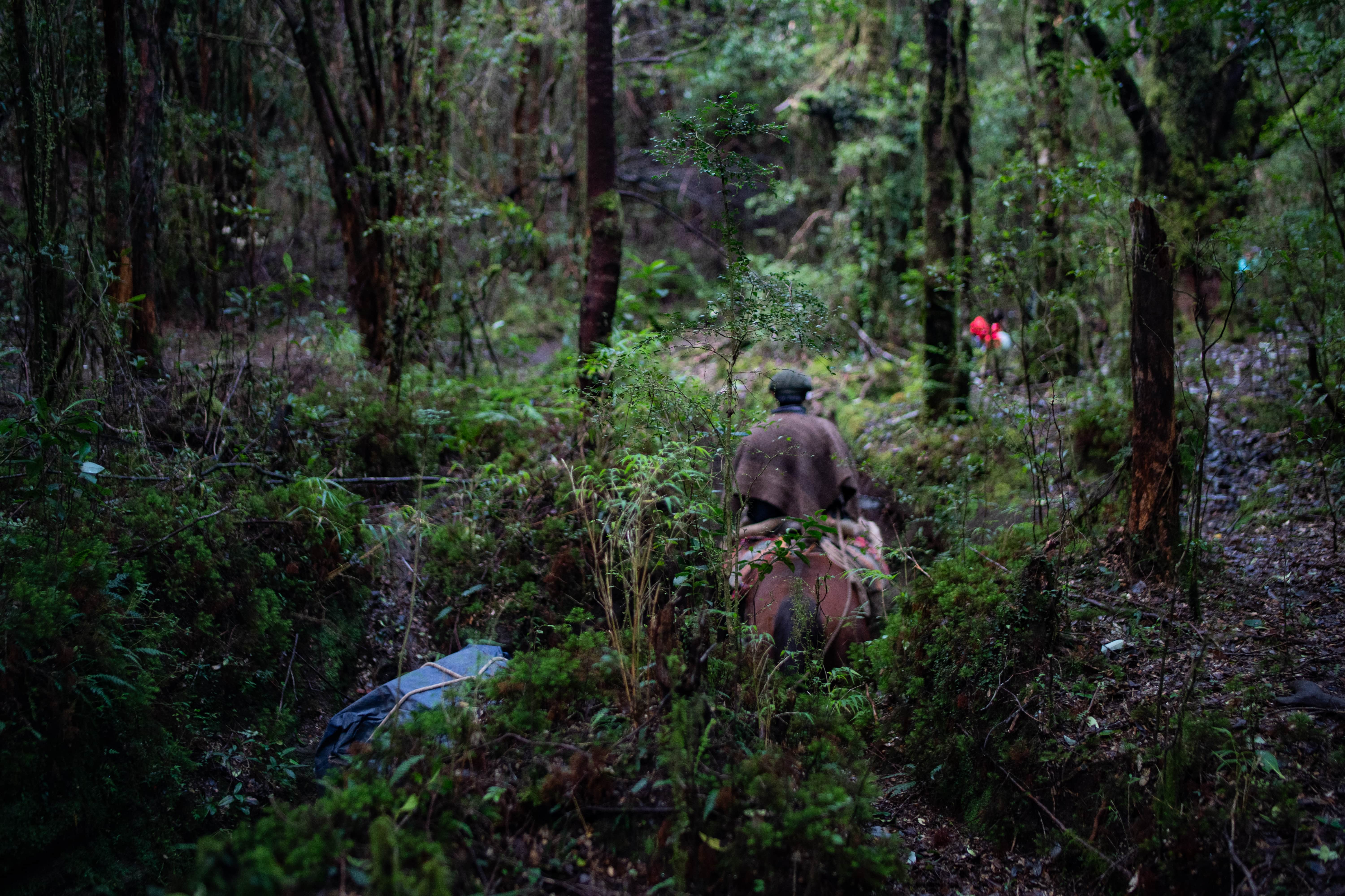 Families traveling by horse in Pucheguin area. 