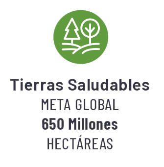 Ícono de protección de tierras, con dos tipos de árboles en líneas blancas sobre un fondo verde. 