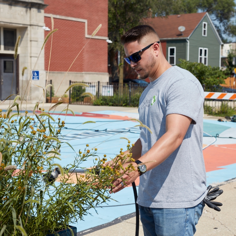 A man in a grey t-shirt and jeans waters plants in an outdoor planter. 