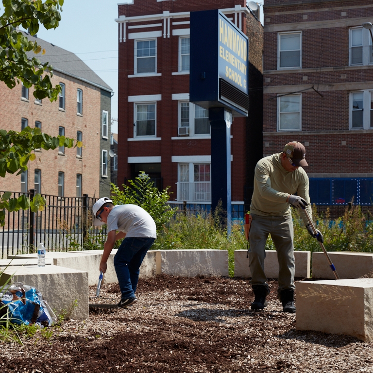 Two people rake mulch in an urban native garden. 