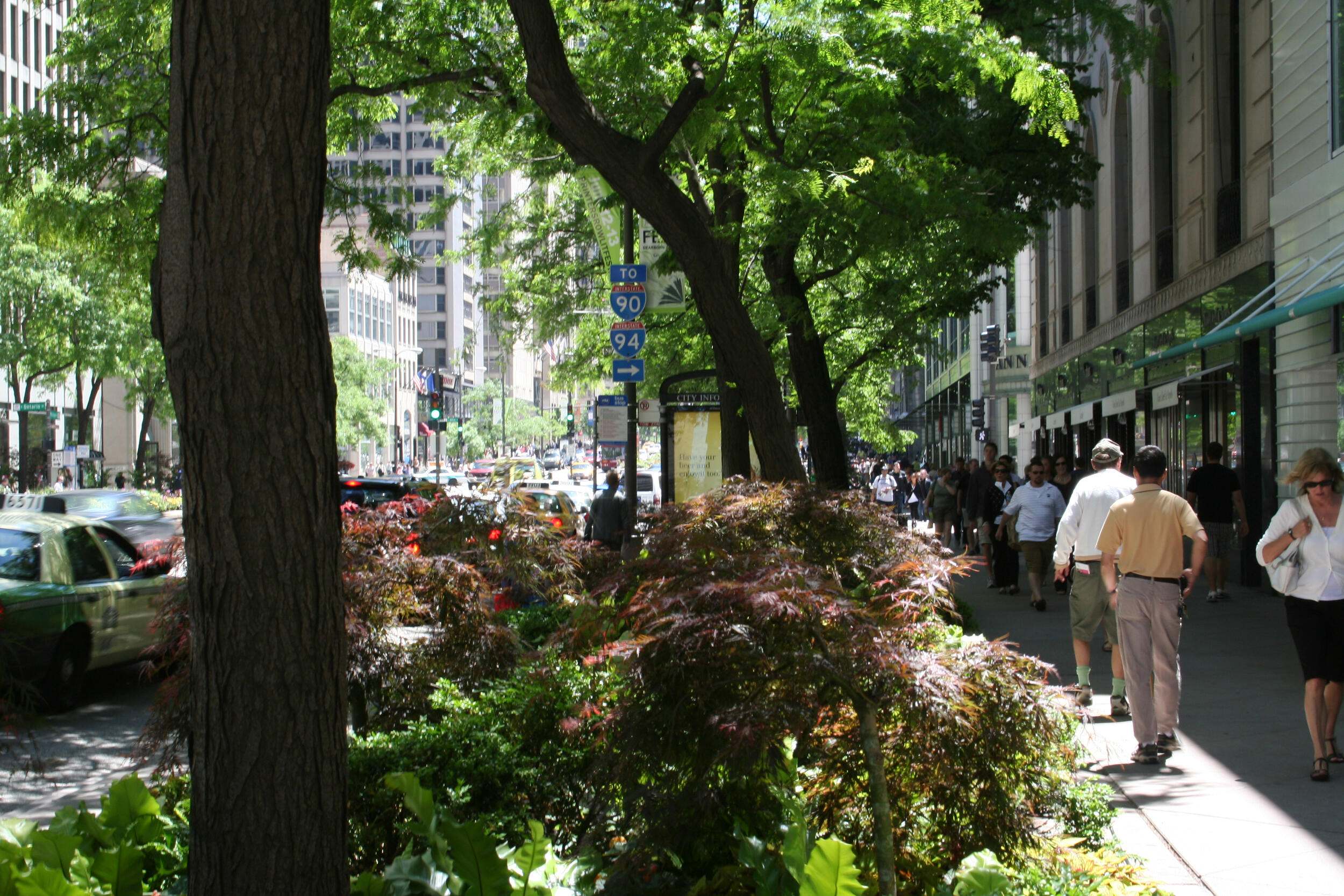 A city street lined with trees; pedestrians walk down a sidewalk to the right while cars drive on the road to the left. 