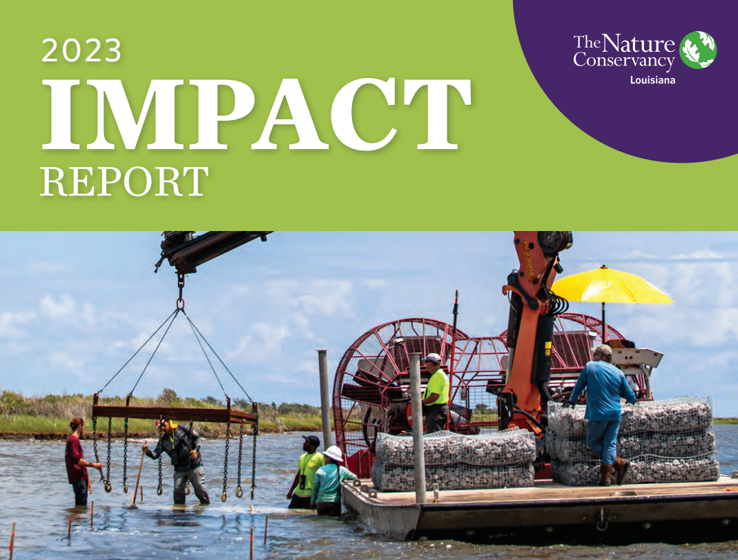 Cover of the 2023 Impact Report brochure.