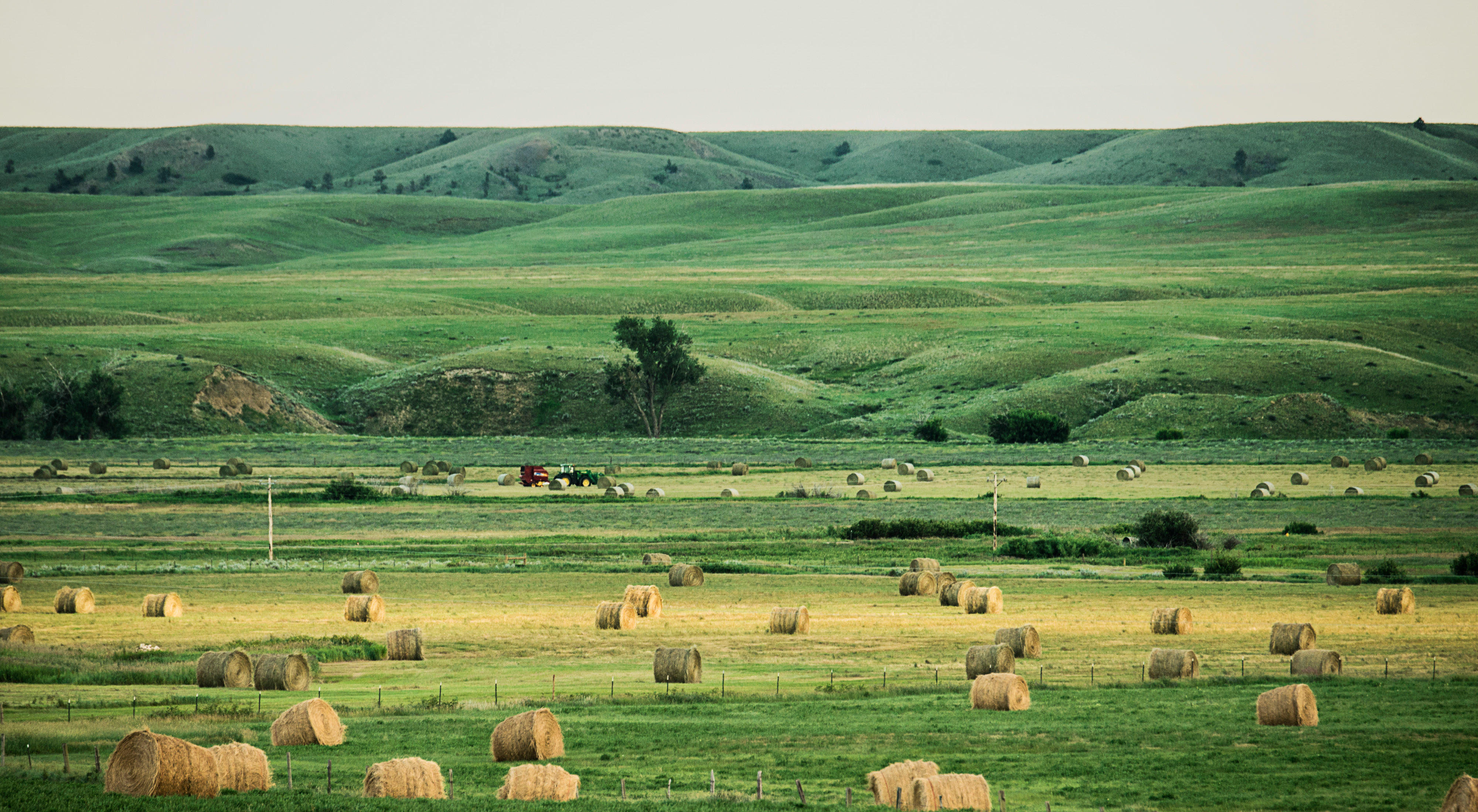 Landscape view of green grasslands filled with hay bales stretching to green hills in the distance.