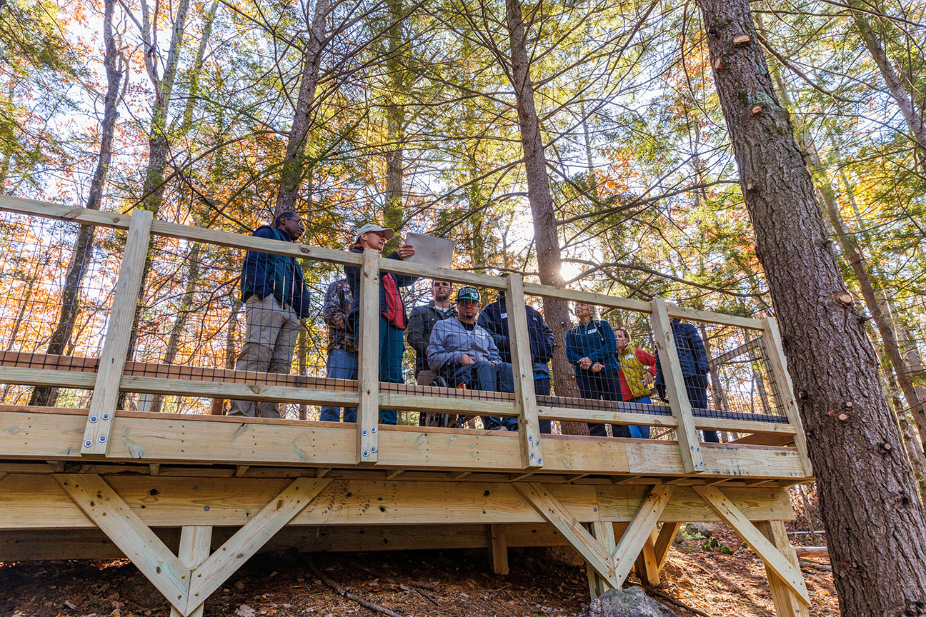 People standing on platform in forested area.