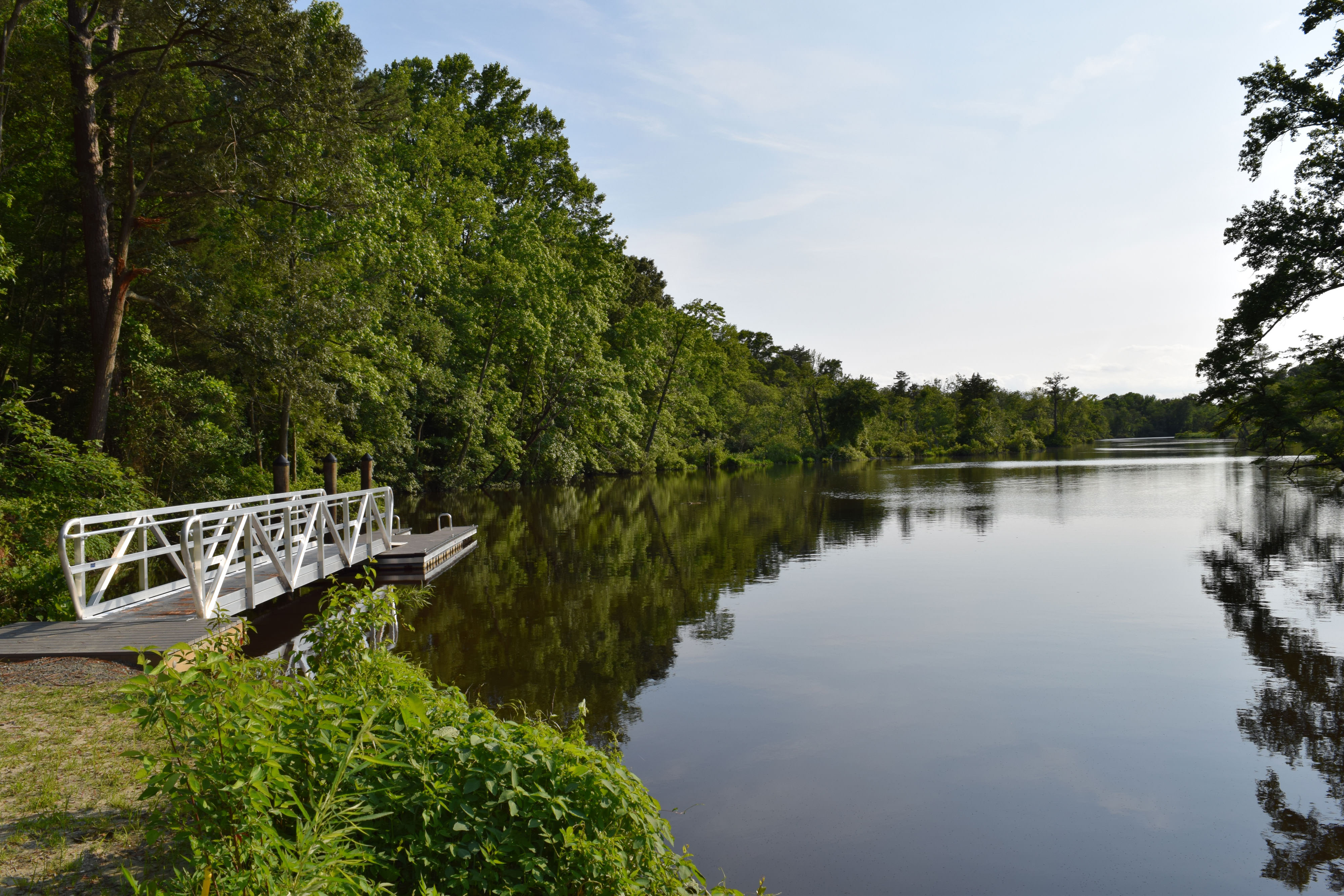 A metal floating dock sits on a river surrounded by lush green trees.