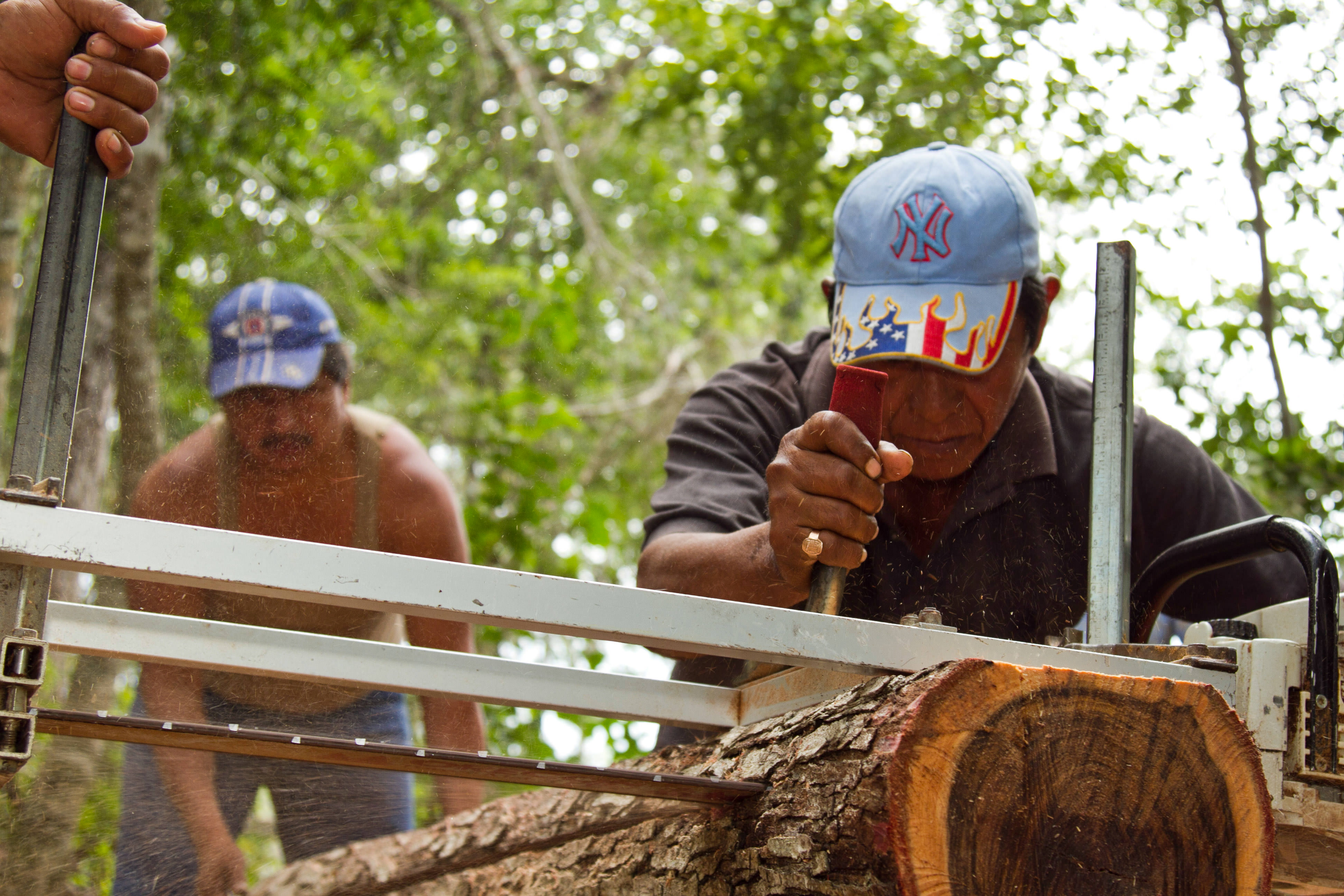 A man wearing a hat uses a saw to cut a big log.