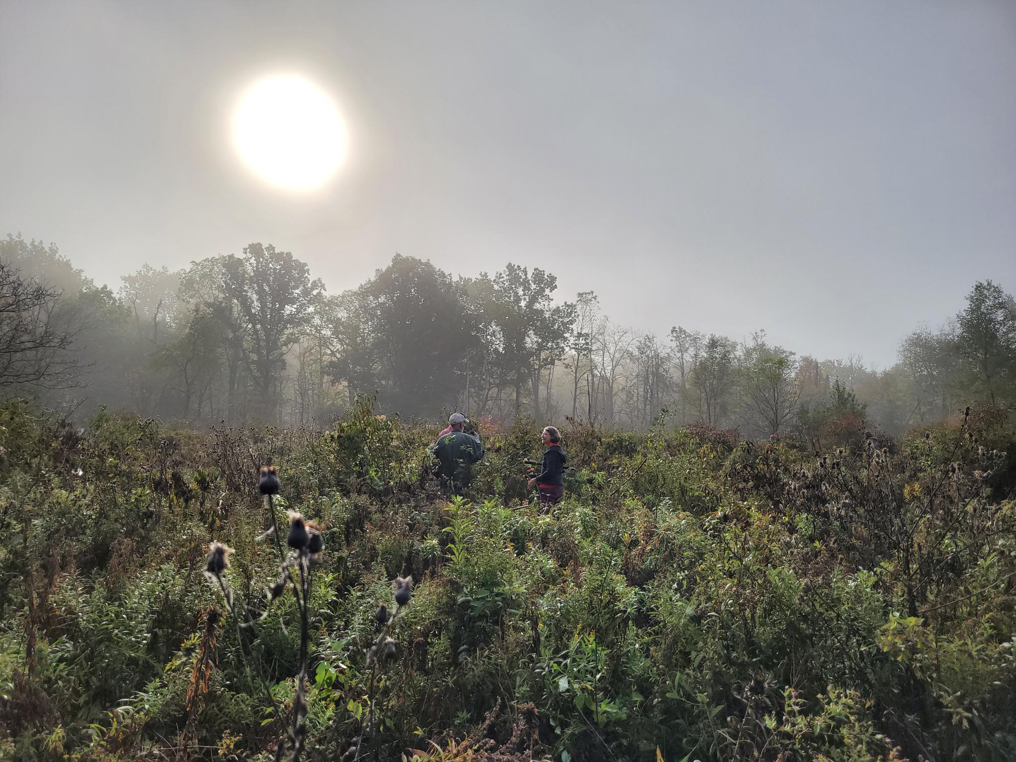 Three people stand in Ives Road Fen on a misty morning. 