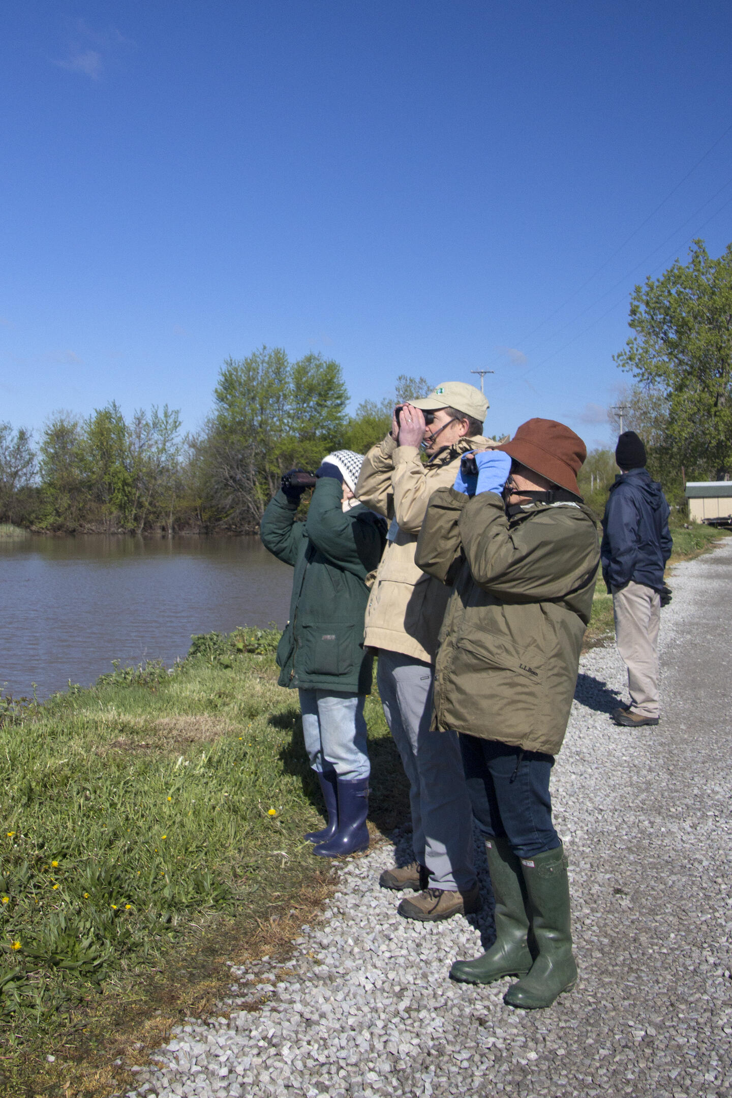 A group of people use binoculars to look out across a water body.