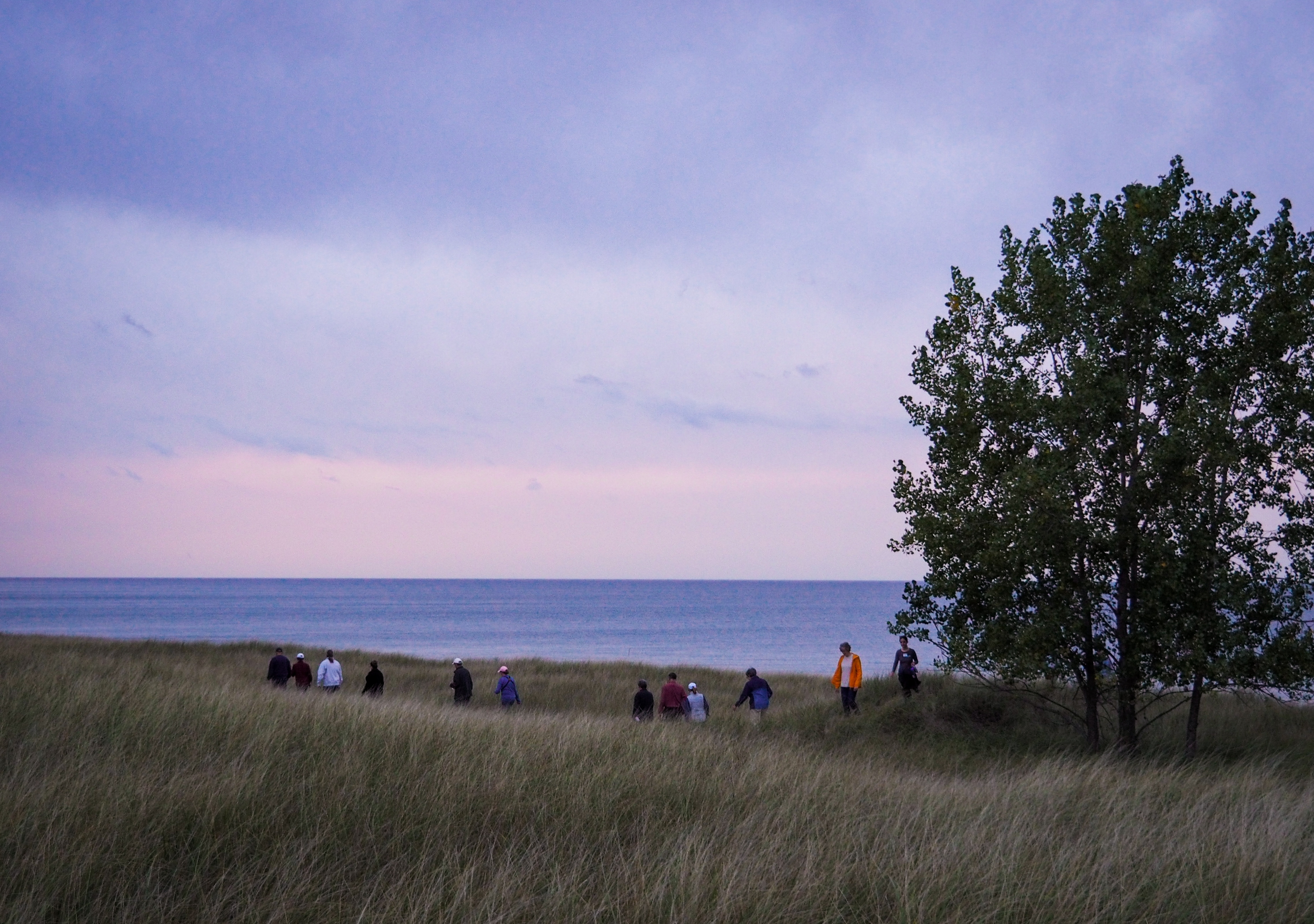 A line of people in the distance hike through tall dune grasses, with Lake Michigan visible just beyond. The sky is a dusky pink and purple, and there is a single tree in the frame.