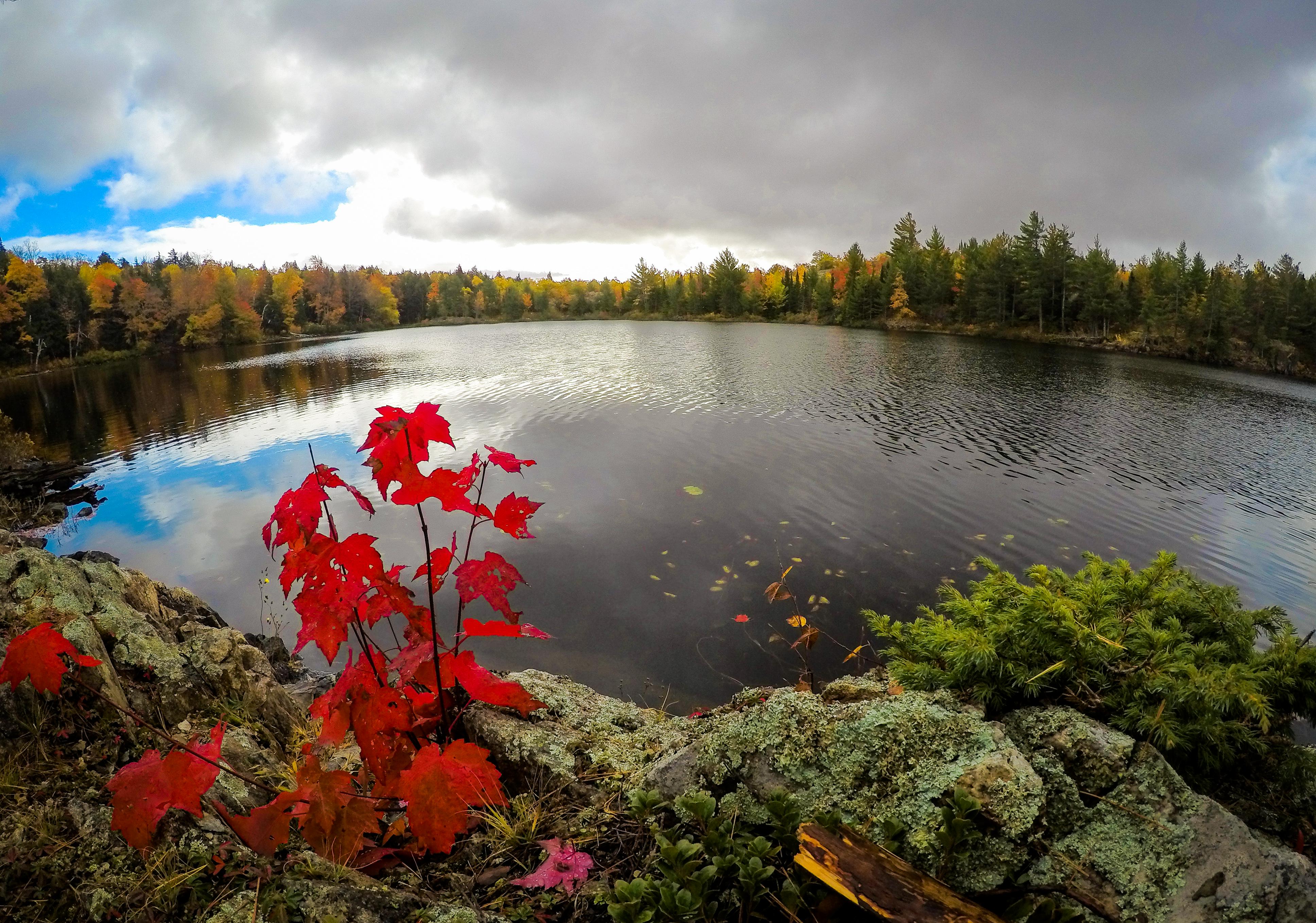 Lake surrounded by autumn trees and lichen covered rock