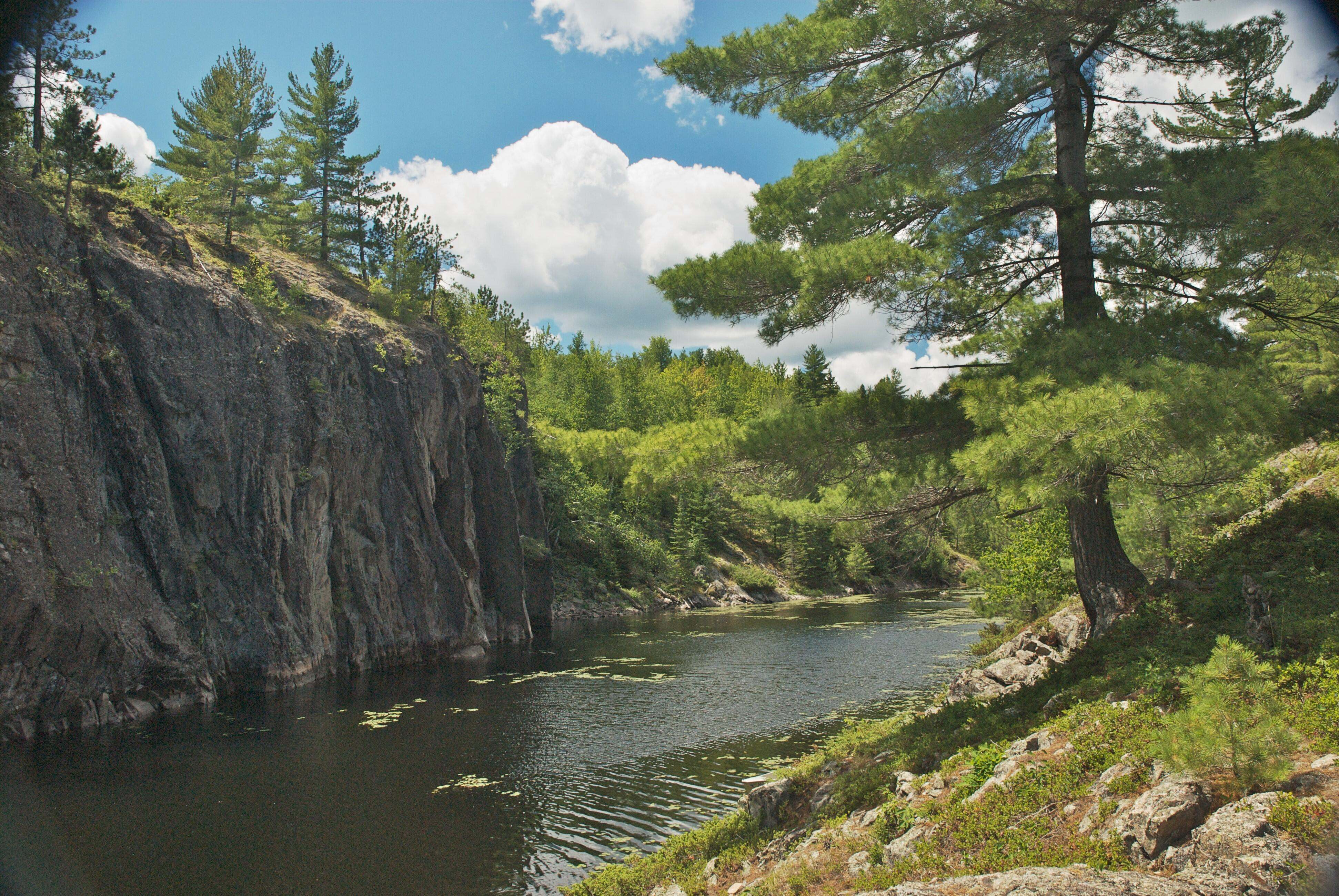 A shoreline looks out at a stone cliff face and the forest. 